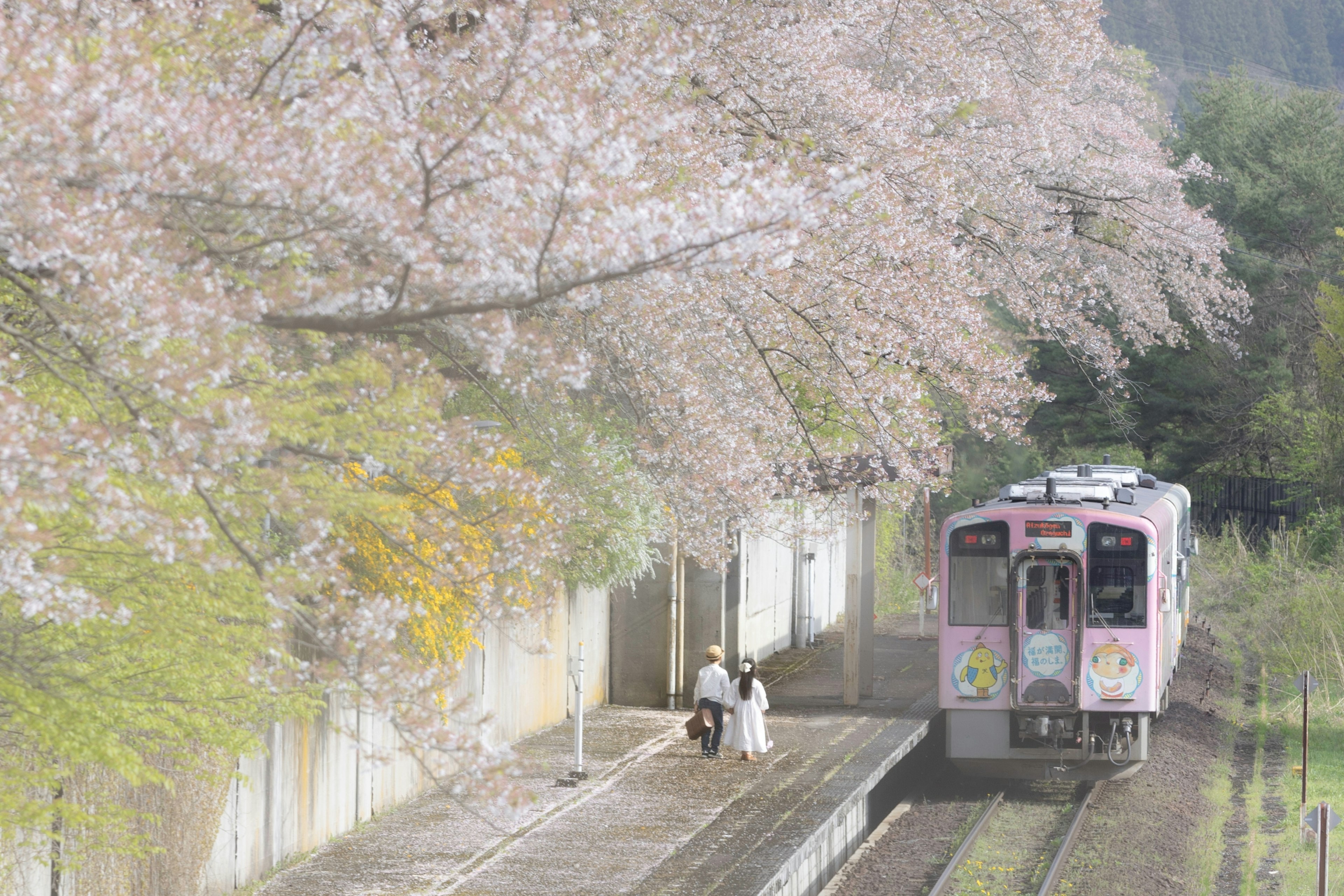 桜の木の下で待つ人々と列車