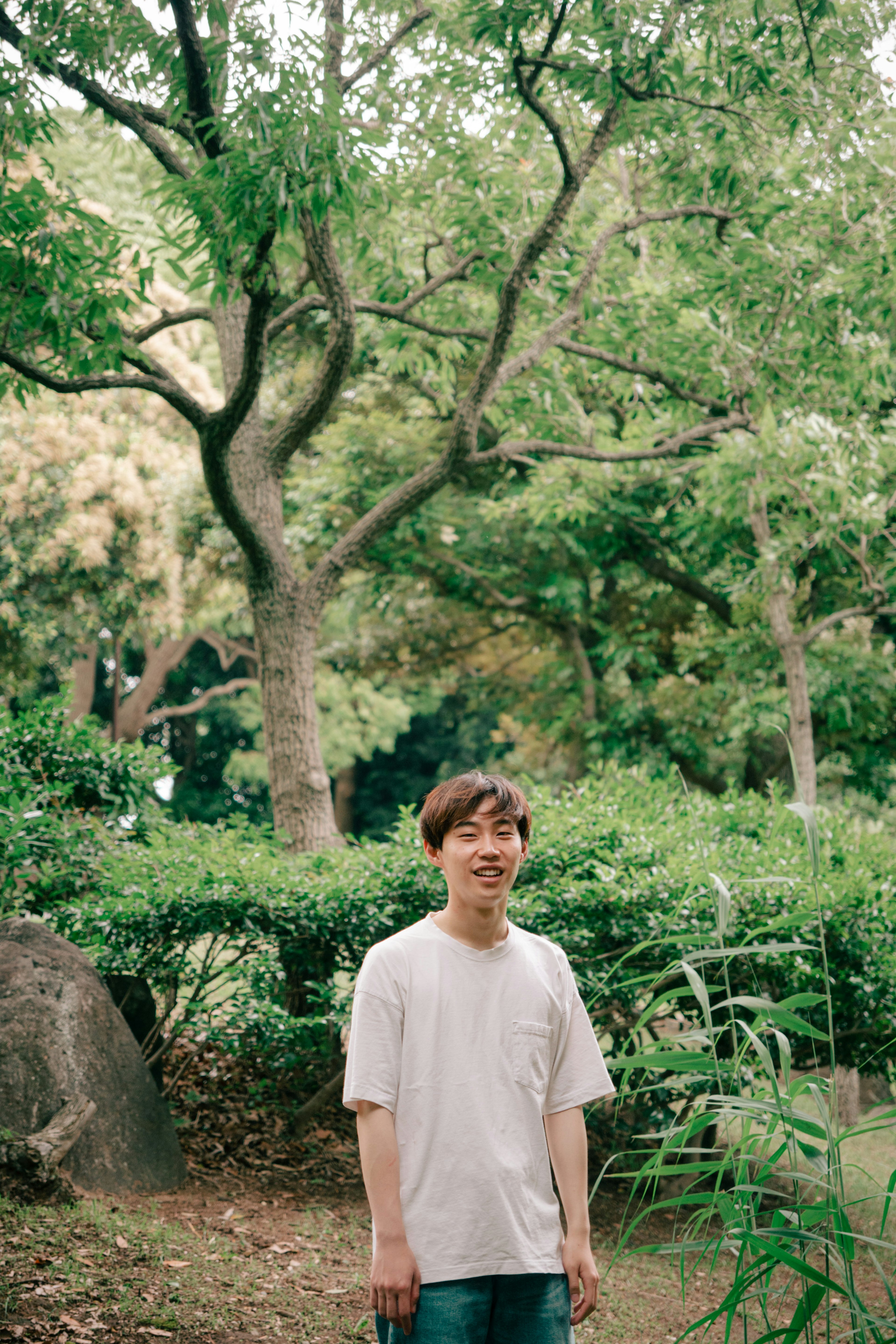 Full-body photo of a man standing in a park Surrounded by lush greenery