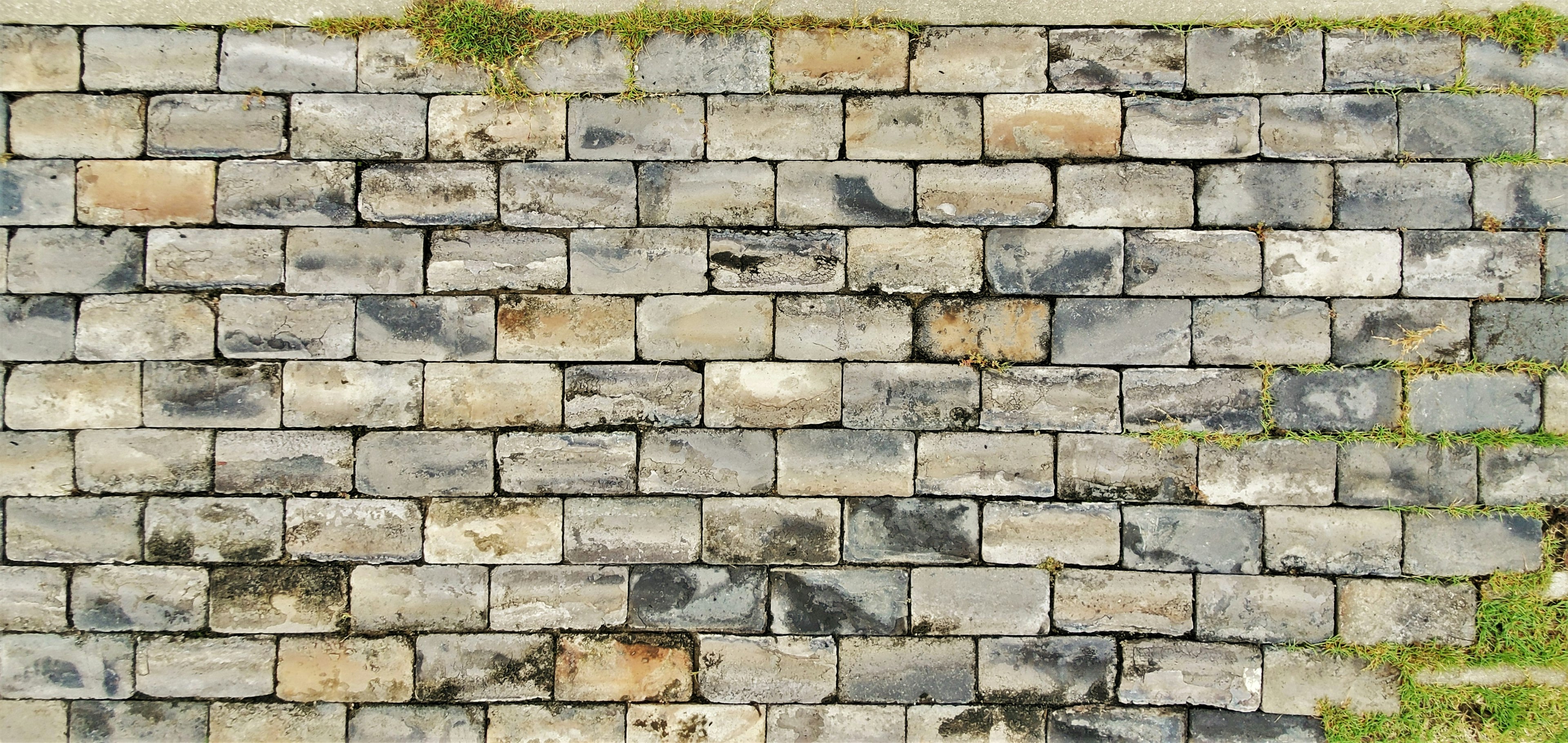 Textured stone wall with various shades and moss