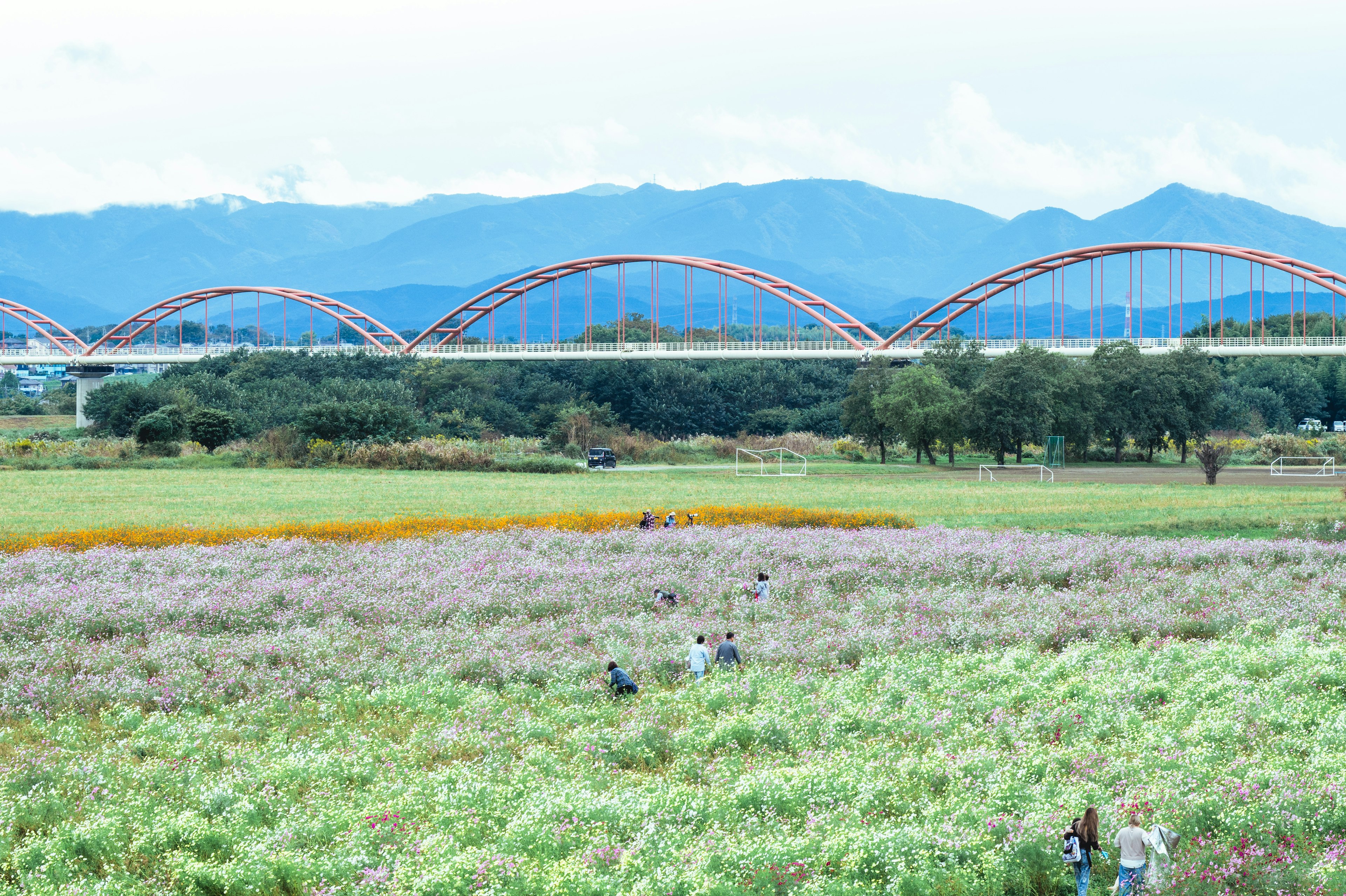 美しい山々とカラフルな花畑の風景に架かるアーチ型の橋