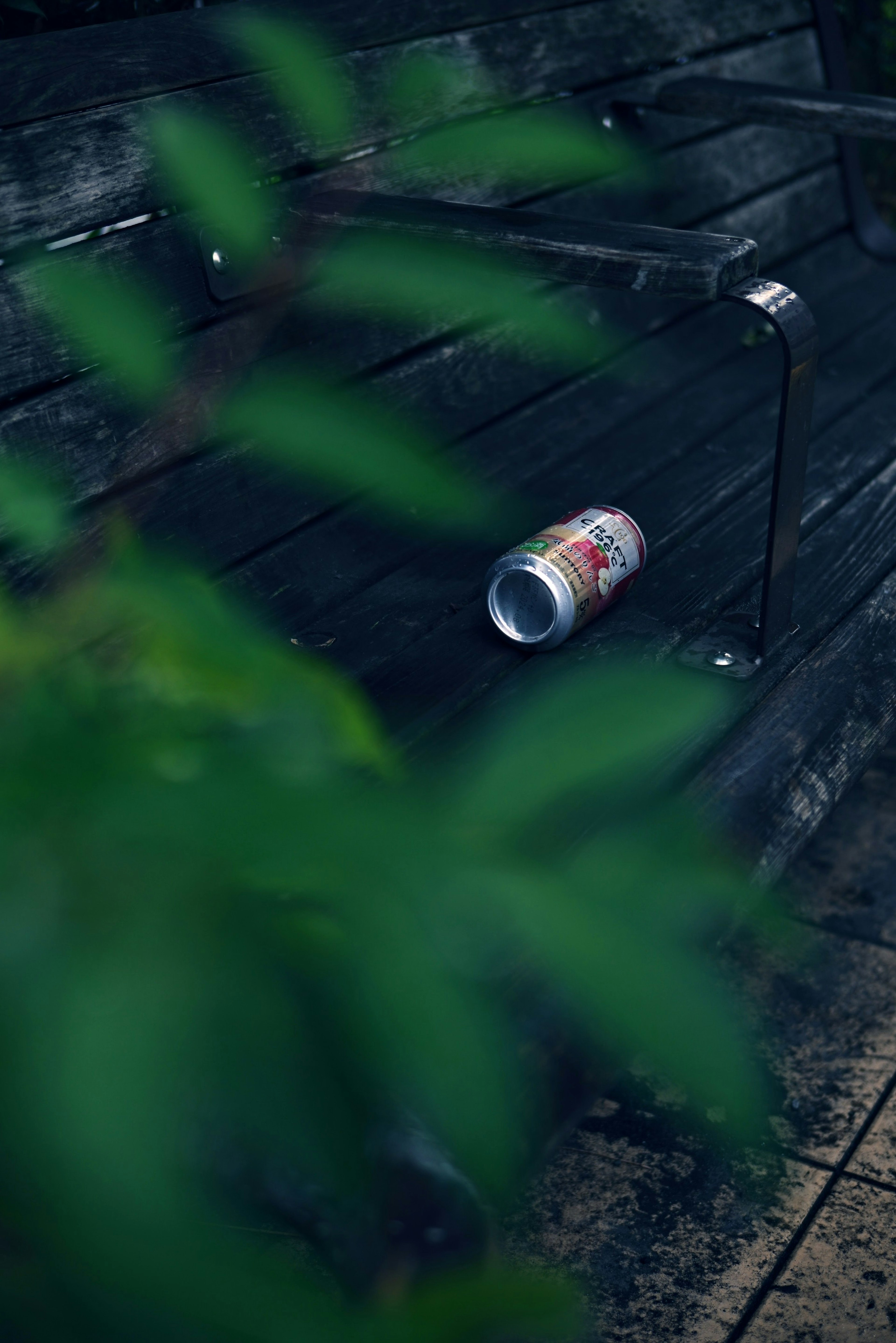 A can resting on a wooden bench with green leaves in the foreground