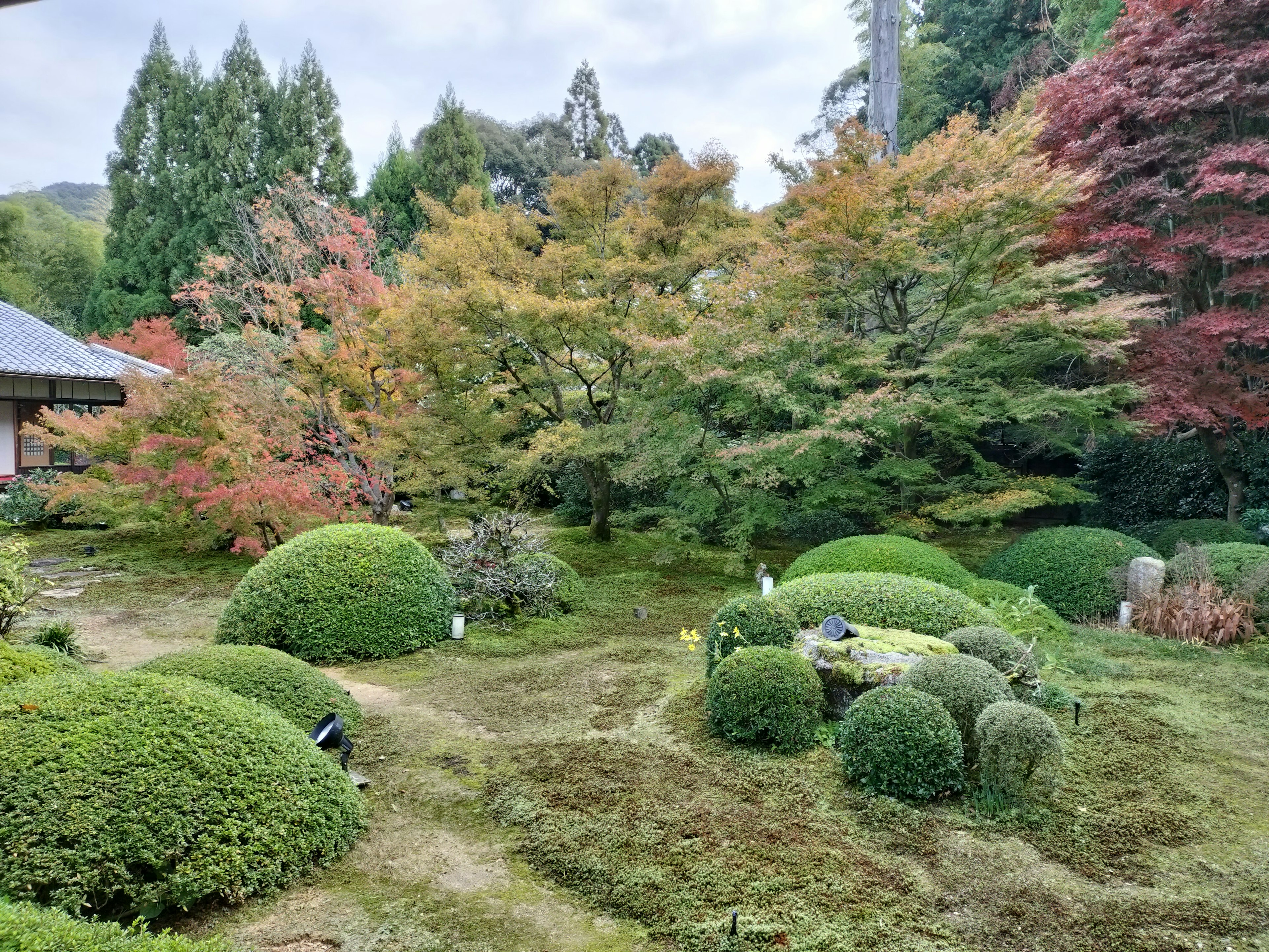 美しい日本庭園の風景 色とりどりの木々と整然とした緑の植栽