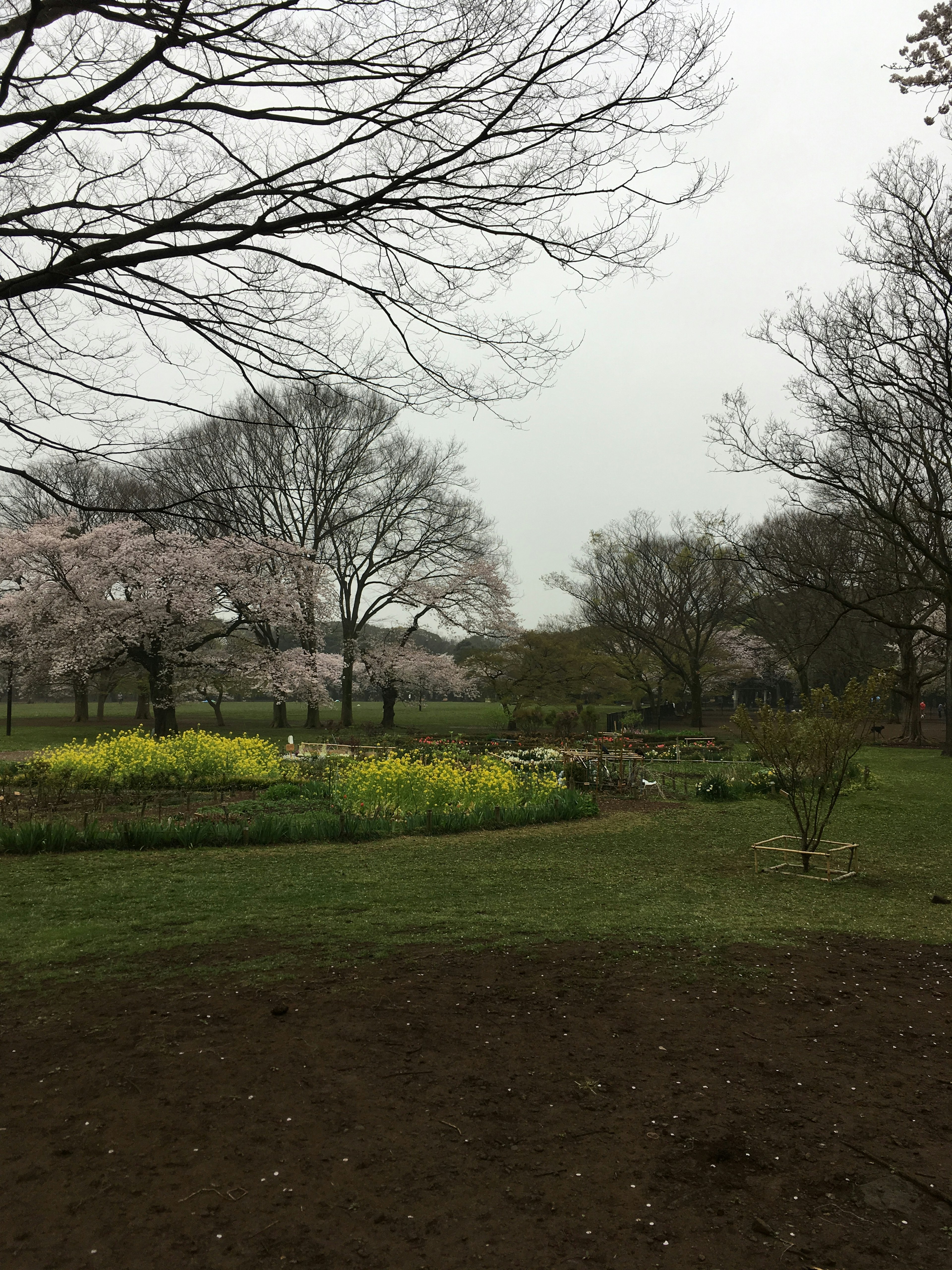 Parklandschaft mit blühenden Blumen unter einem bewölkten Himmel