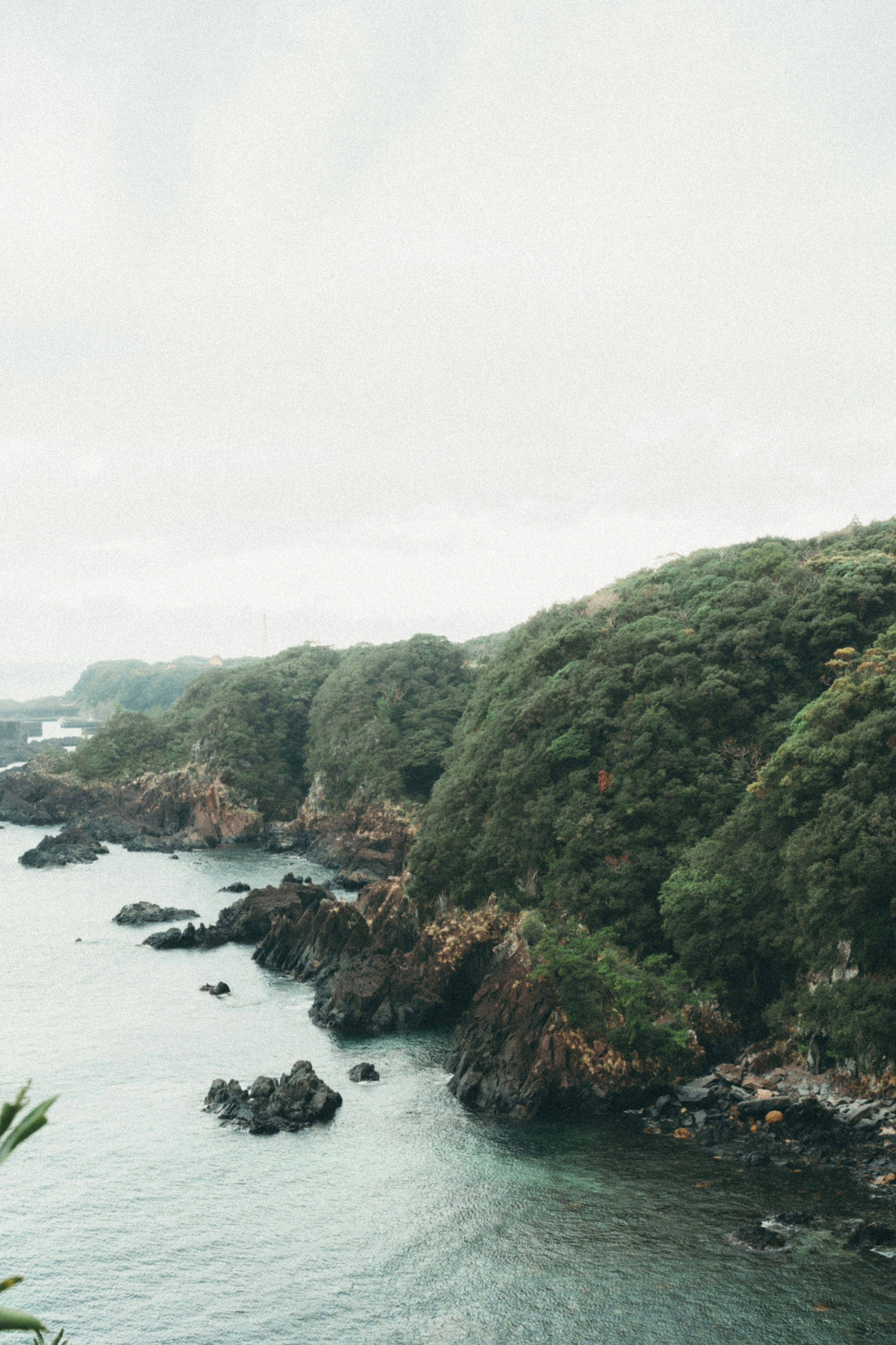 Foggy coastline with lush green hills