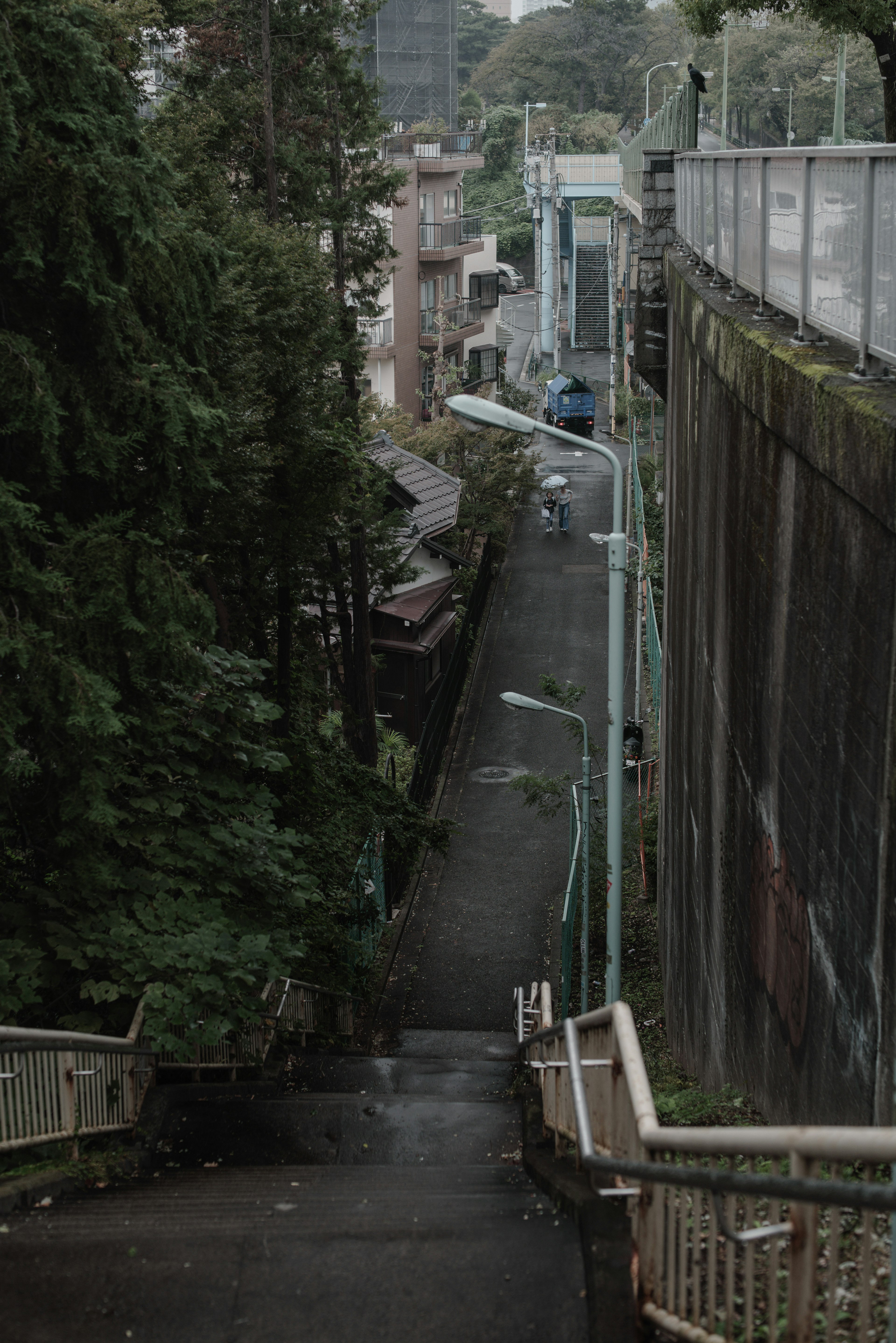 緑に囲まれた急な階段と狭い通りの風景