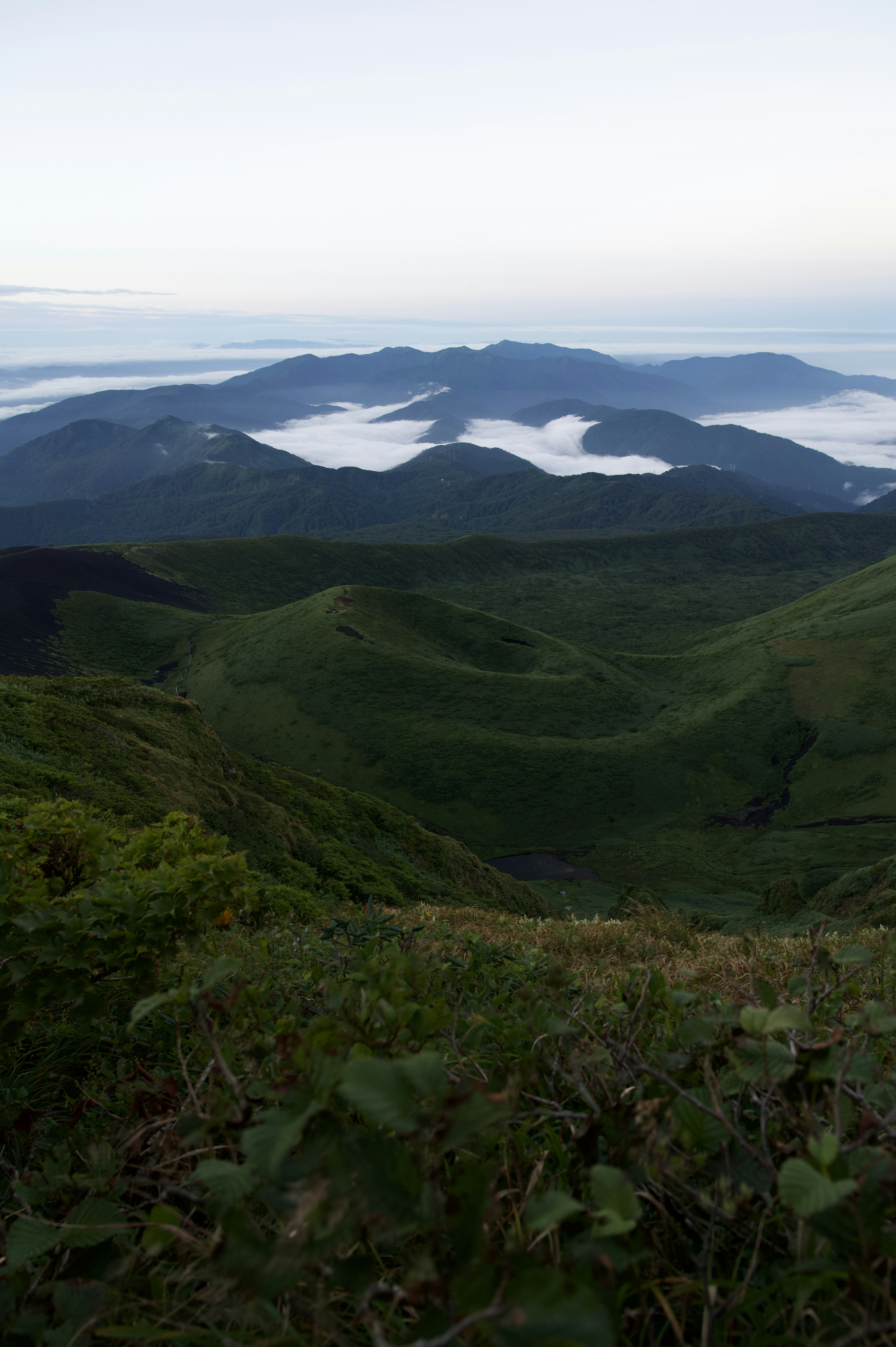 Une vue panoramique de montagnes verdoyantes avec une mer de nuages