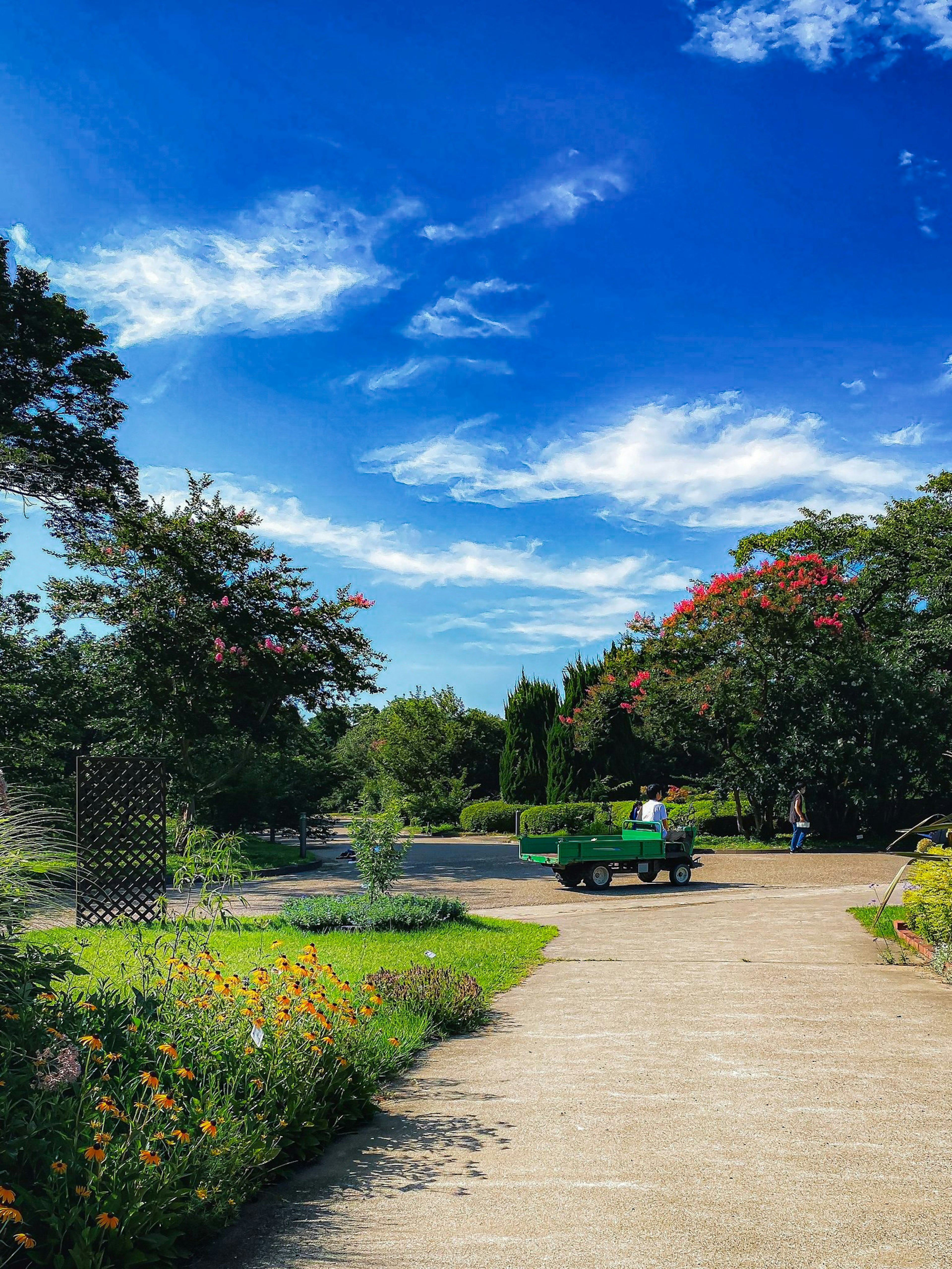 Park scene with blue sky and clouds Green truck driving along pathway Colorful flowers in bloom