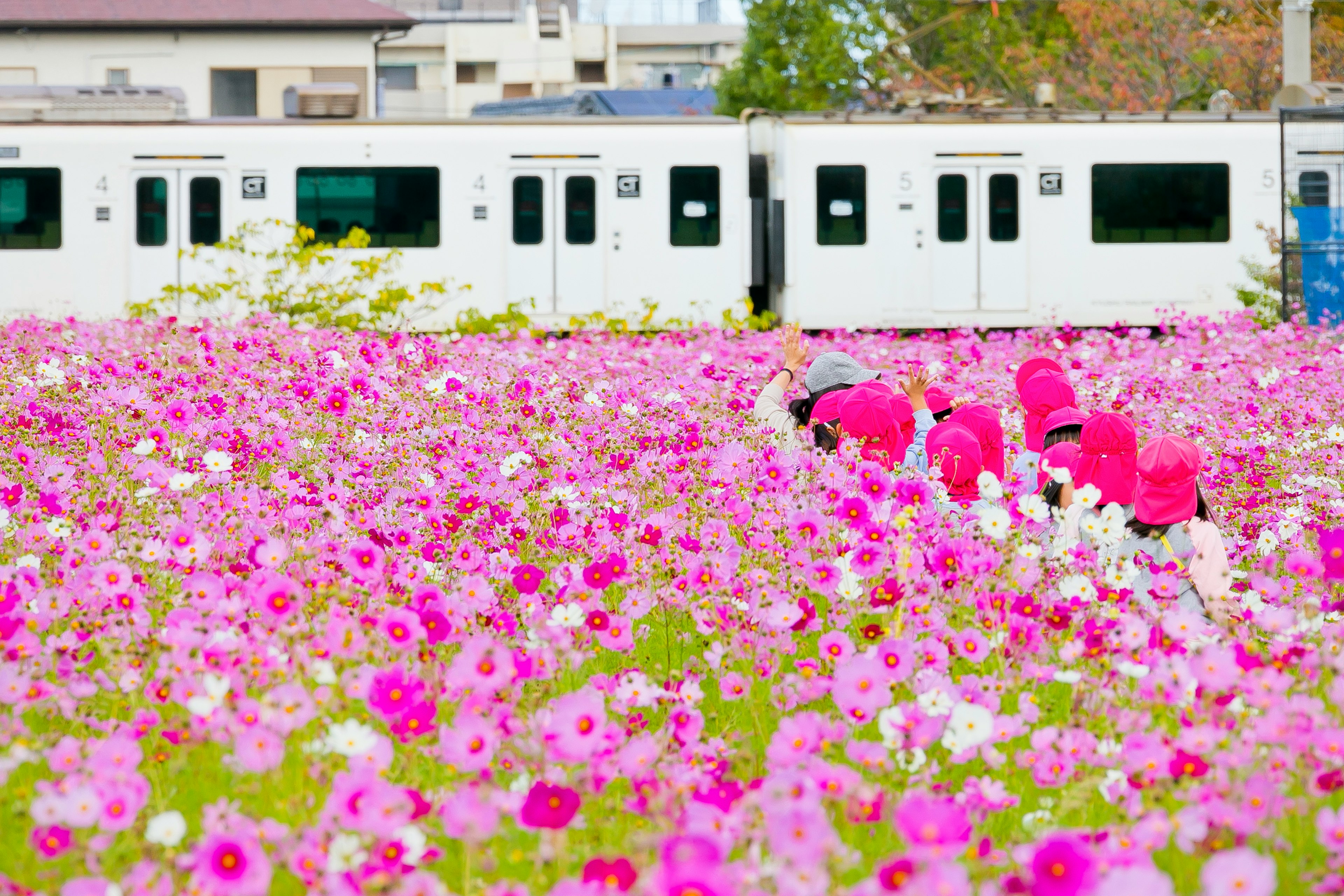 Persone che lavorano in un campo di fiori con un treno bianco sullo sfondo