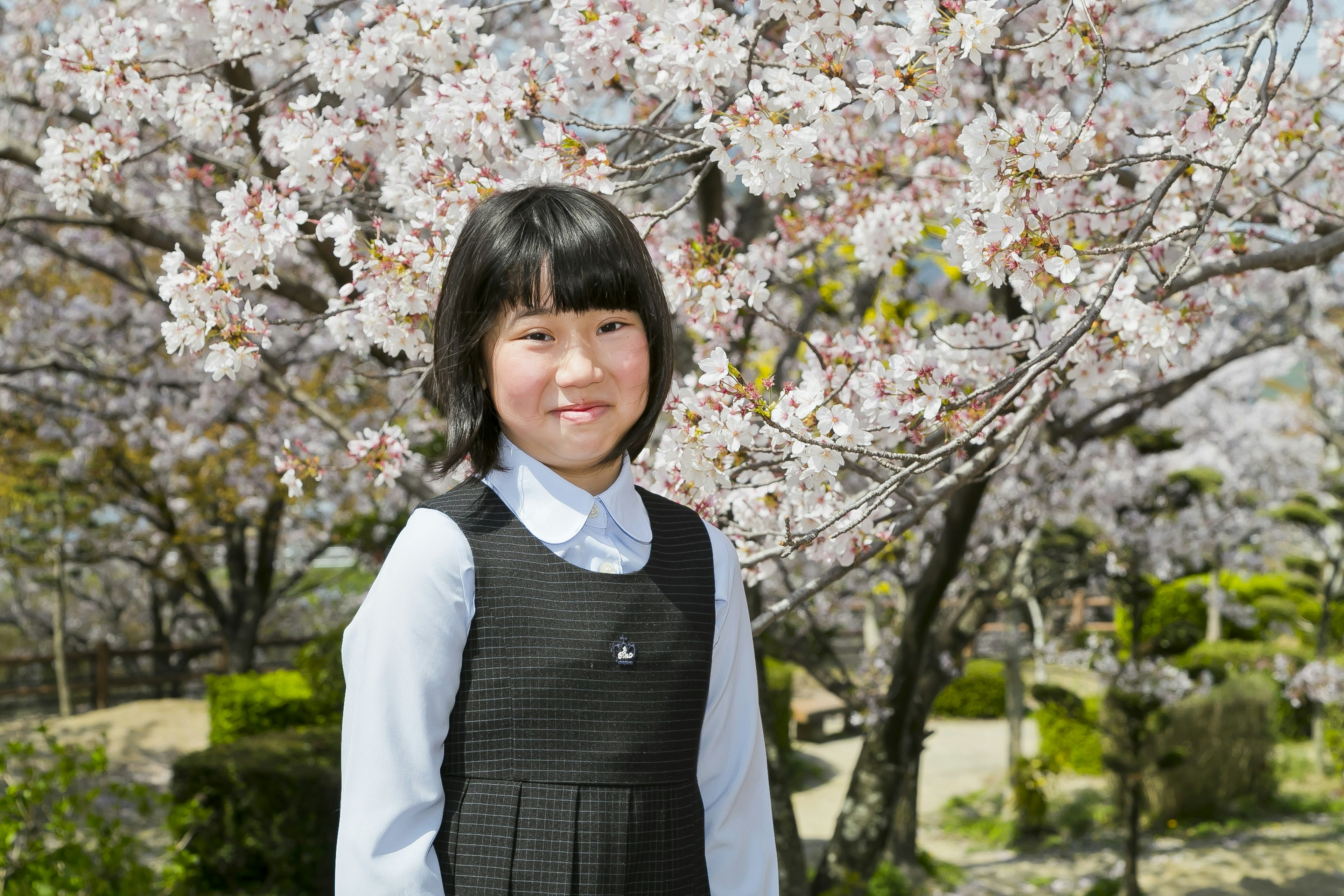 桜の木の前に立つ女の子の写真 笑顔で黒いドレスを着ている