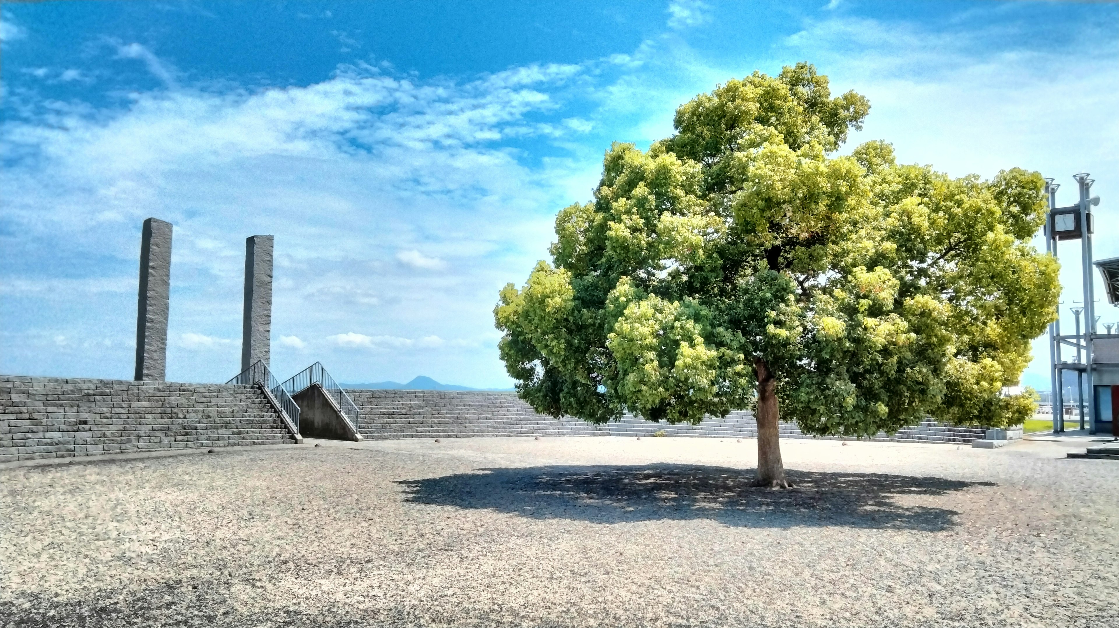 A green tree under a blue sky with a stone wall in the background