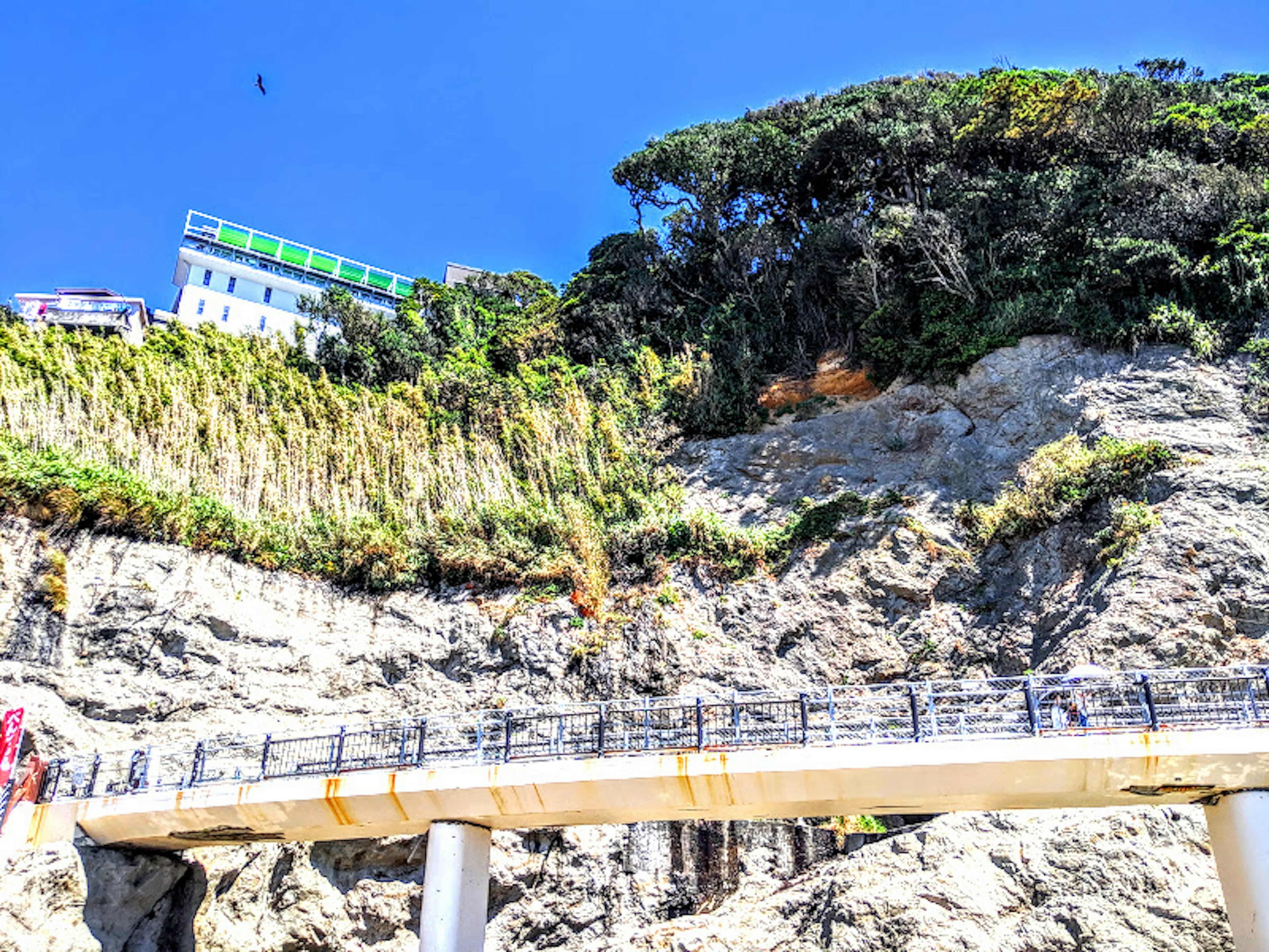 Vue côtière avec des arbres verts et un bâtiment sur une falaise sous un ciel bleu