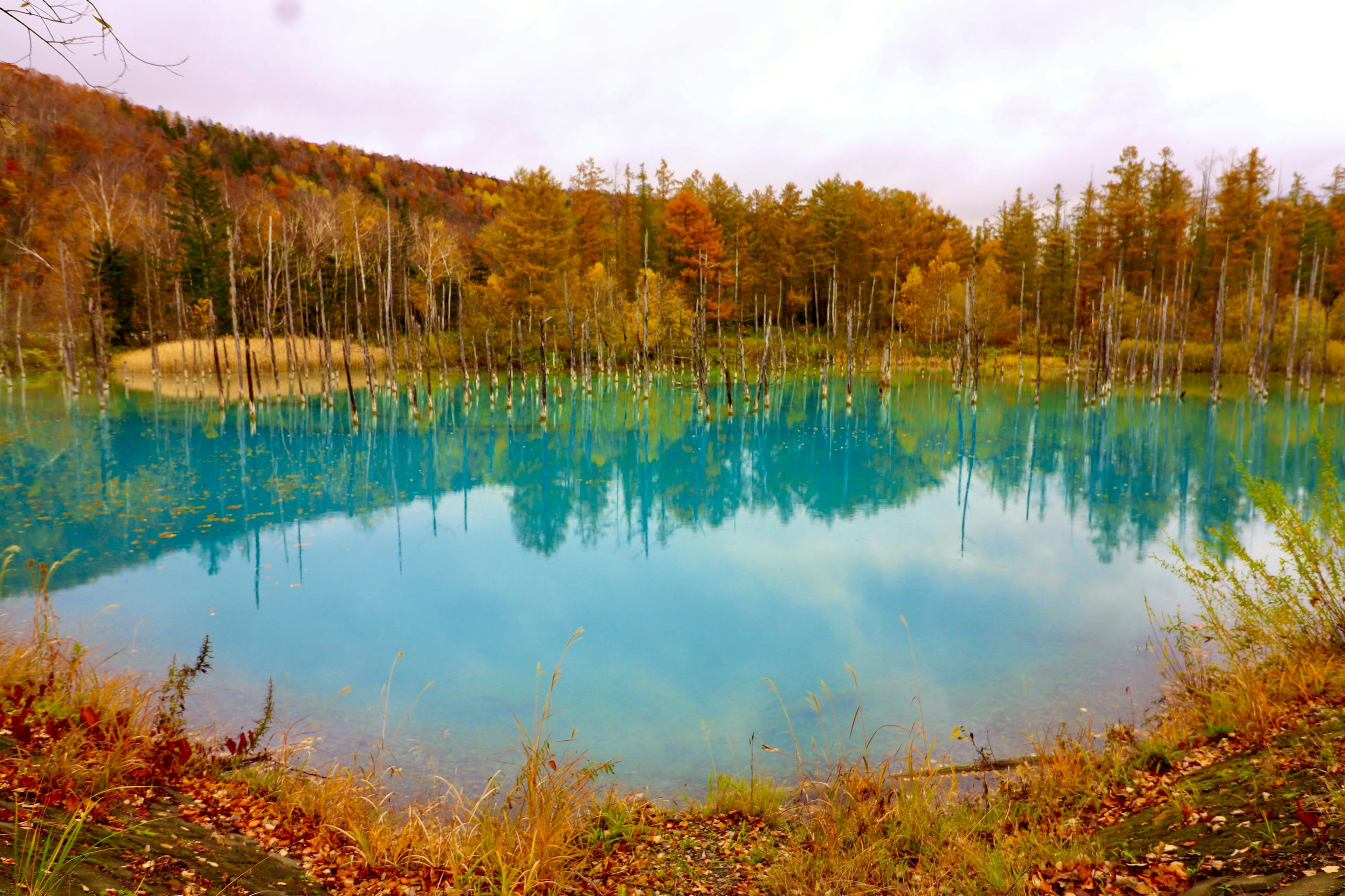 ทิวทัศน์ของต้นไม้ฤดูใบไม้ร่วงที่สะท้อนในทะเลสาบสีน้ำเงิน