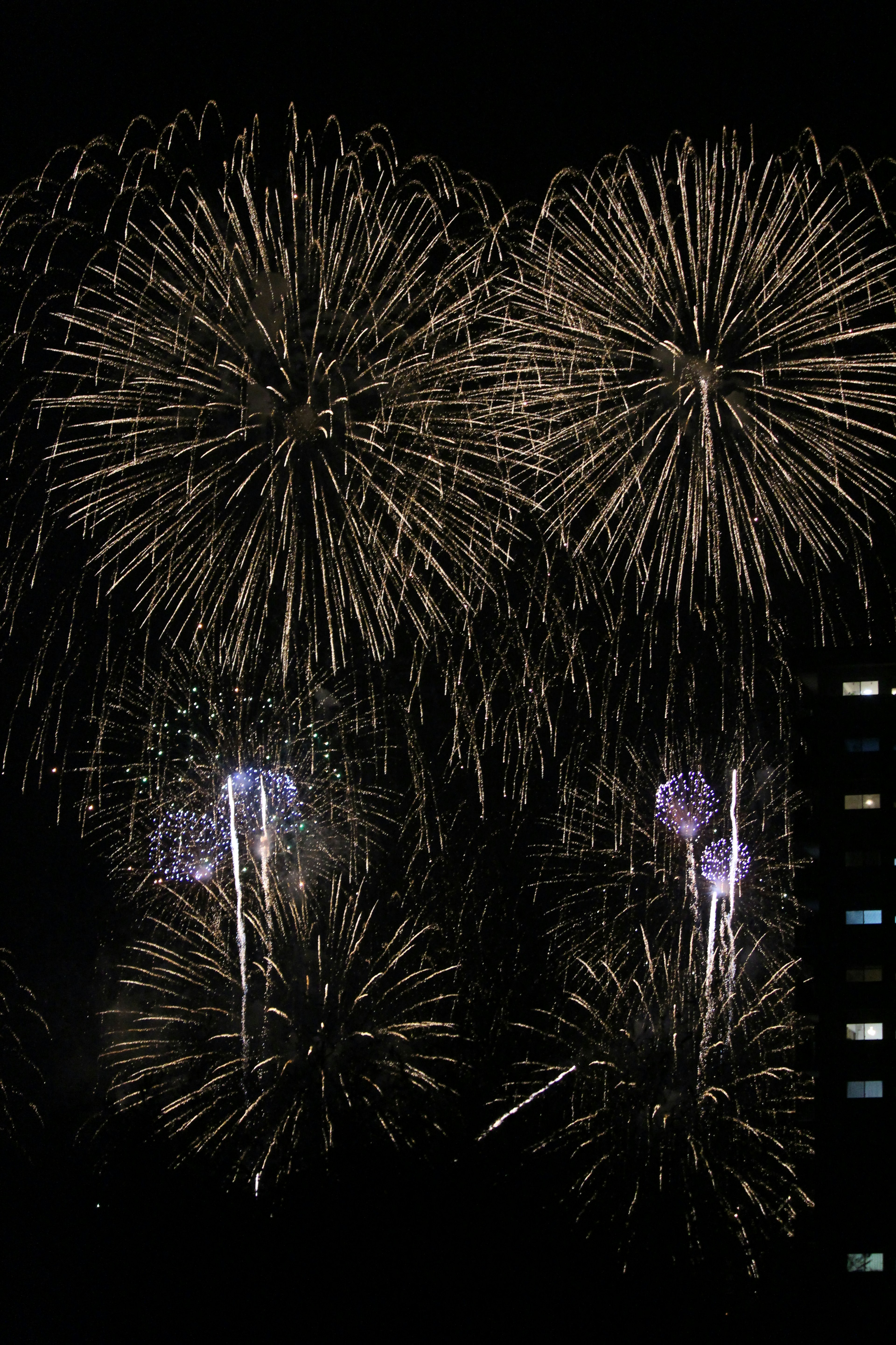 Spettacolo di fuochi d'artificio nel cielo notturno con esplosioni dorate e viola