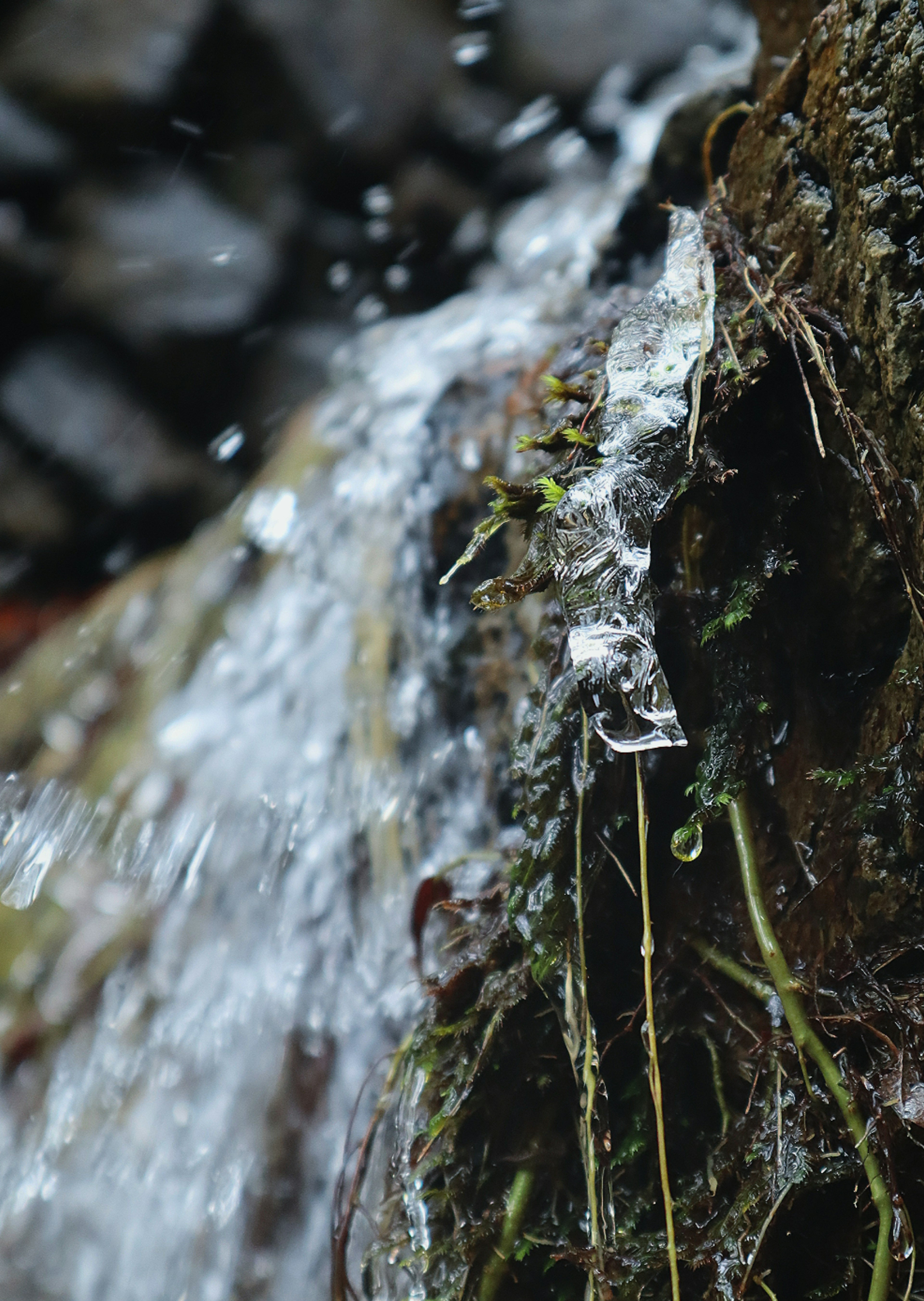 Gros plan sur de l'eau qui coule sur une roche recouverte de mousse avec des éclaboussures