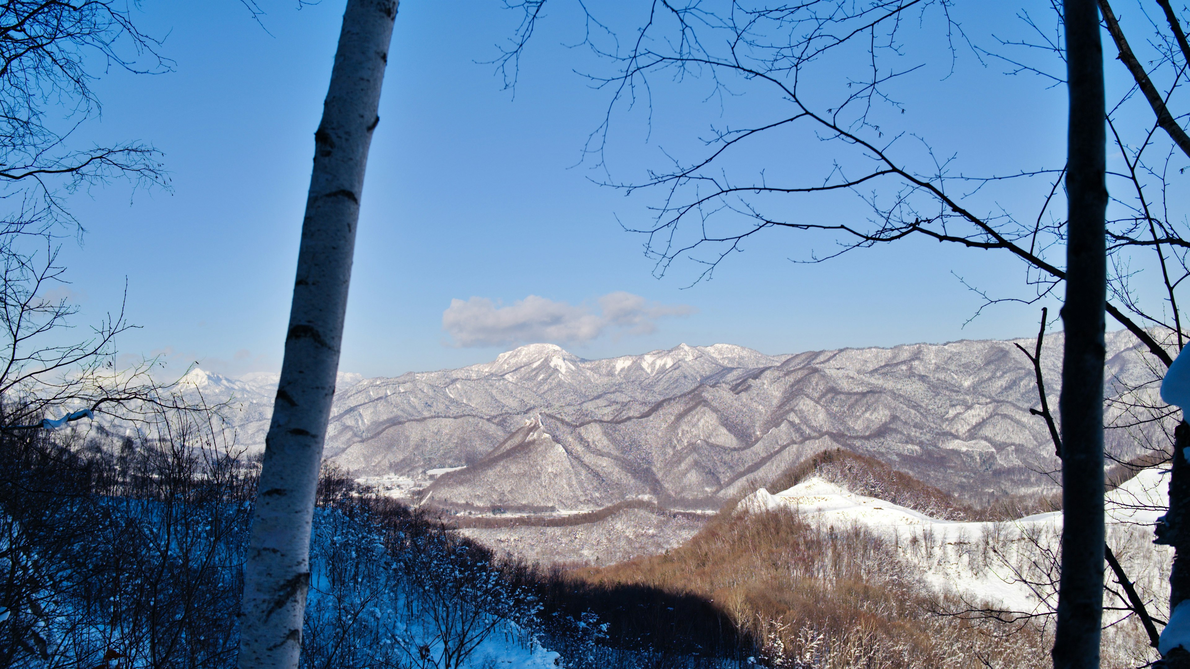 Montañas cubiertas de nieve bajo un cielo azul claro