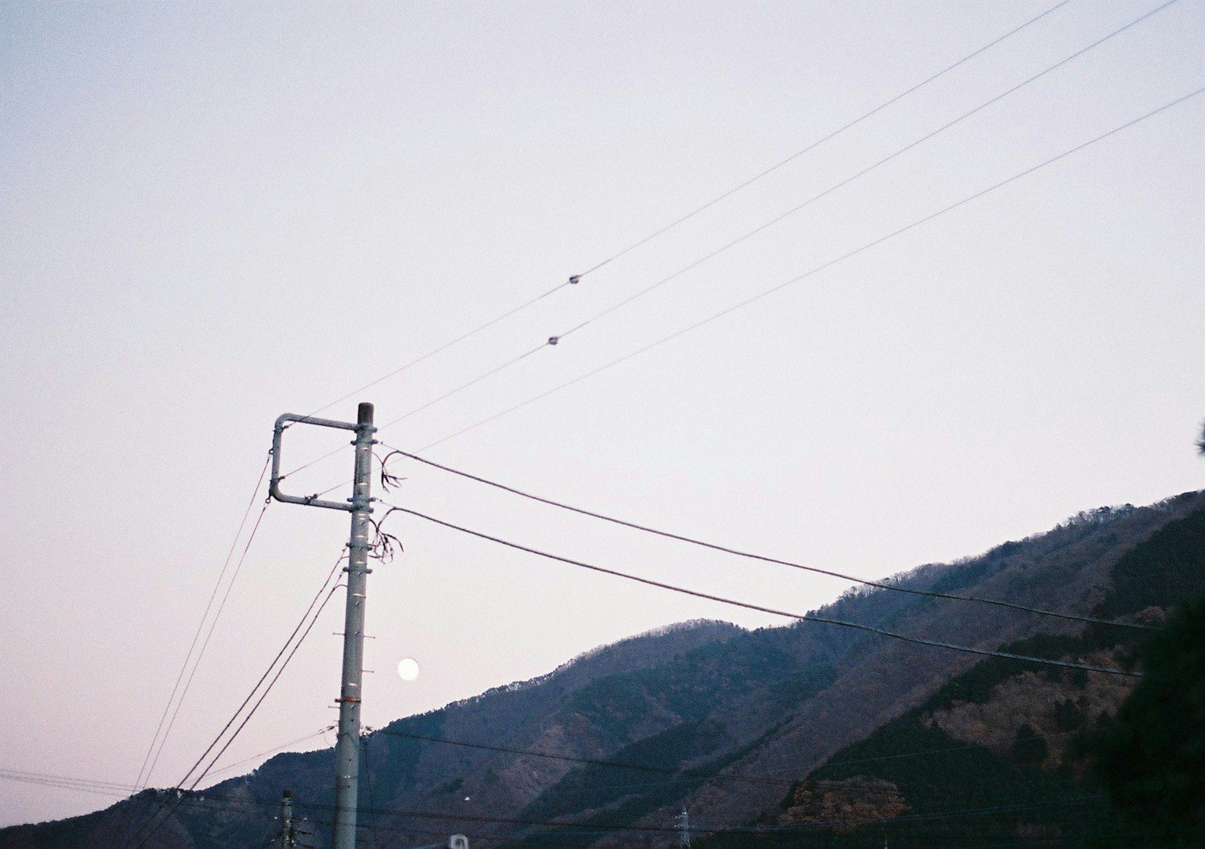 山の背景に電柱と電線がある薄明かりの風景