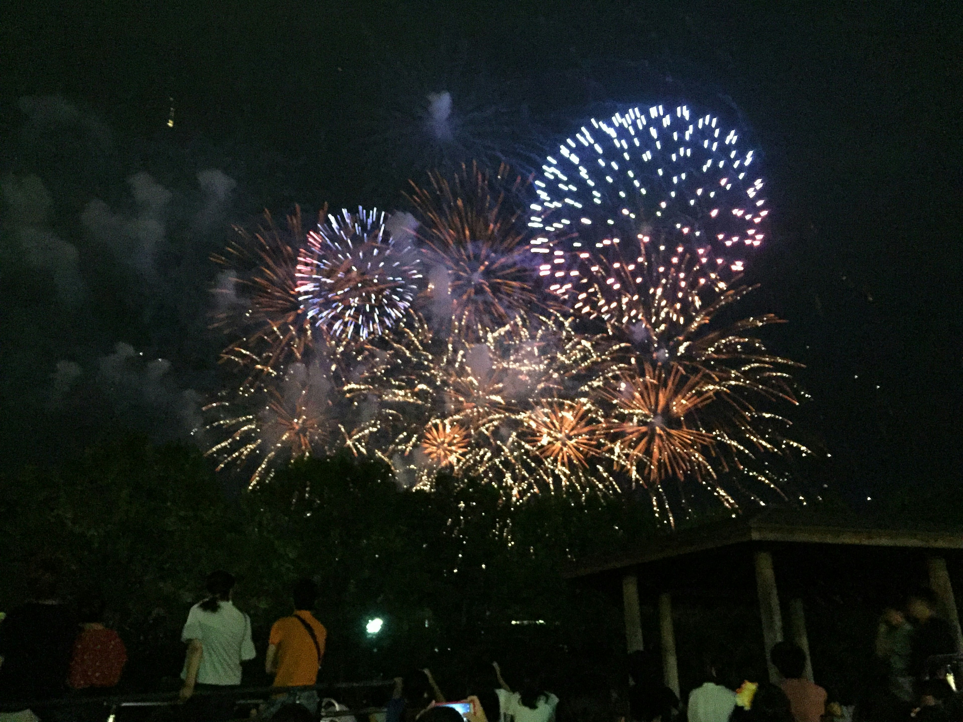 五彩斑斓的烟花表演照亮夜空，形状各异