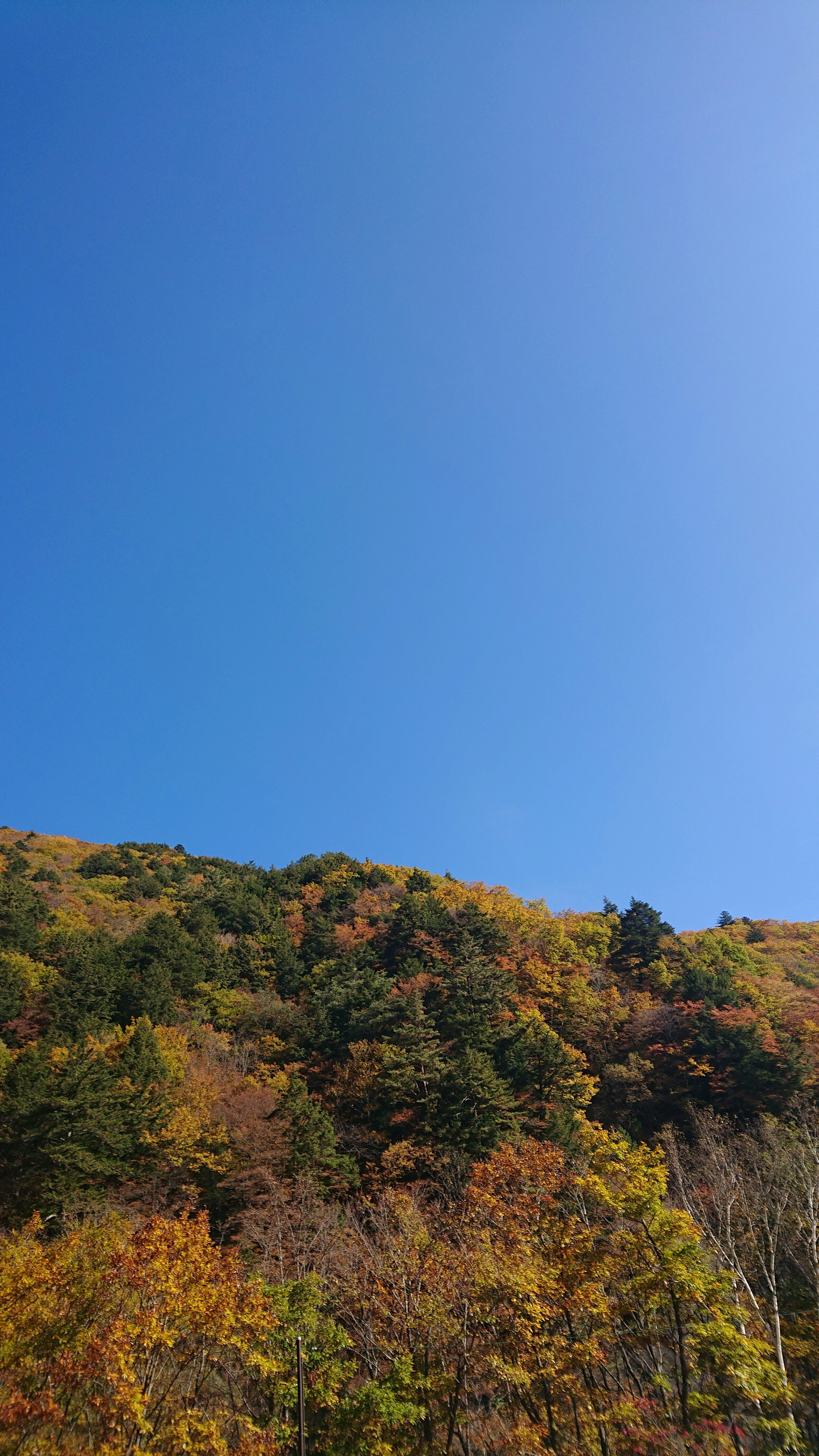 秋季树叶和晴朗蓝天下的山脉风景