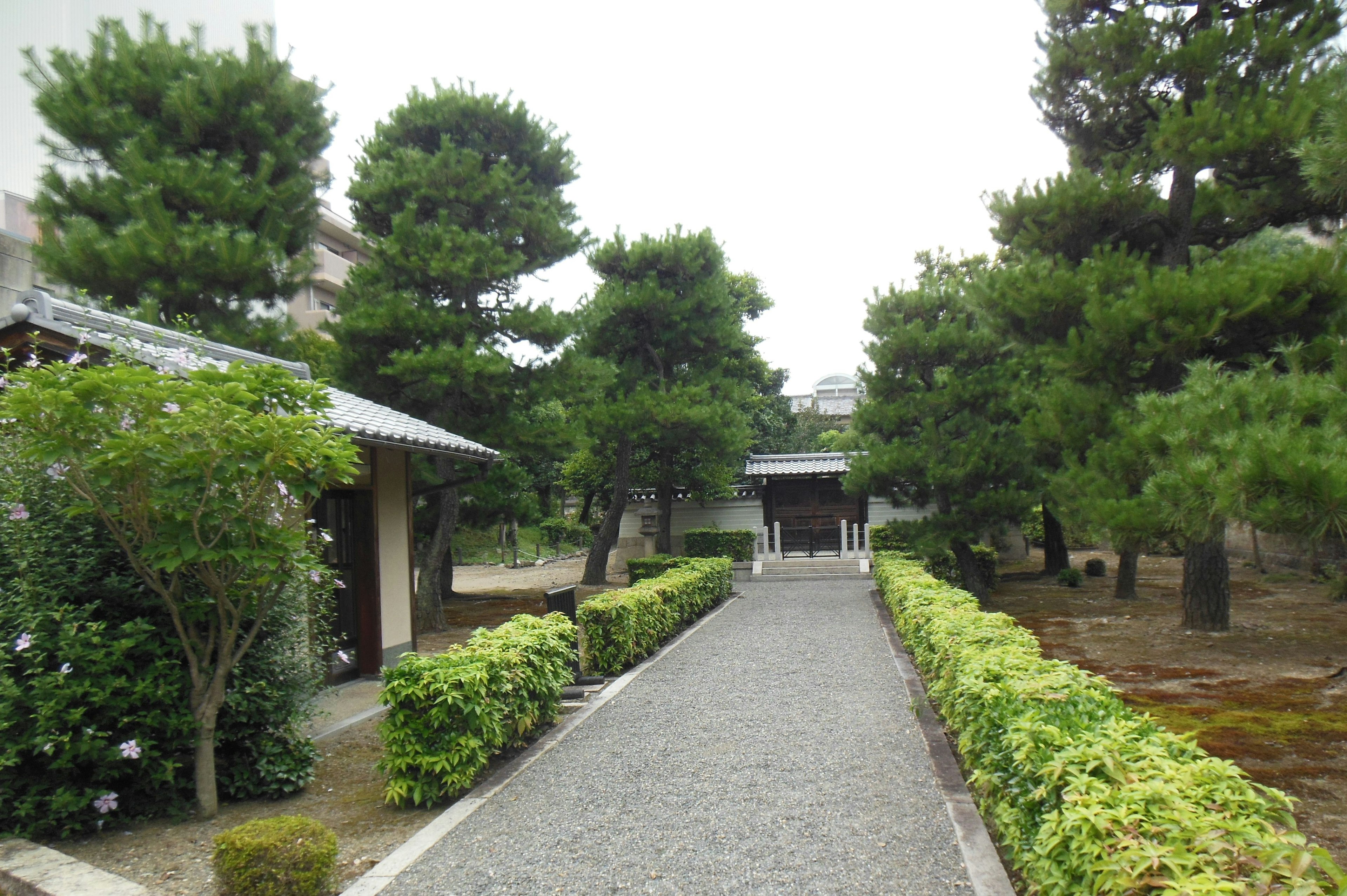 Scenic pathway flanked by greenery and traditional buildings