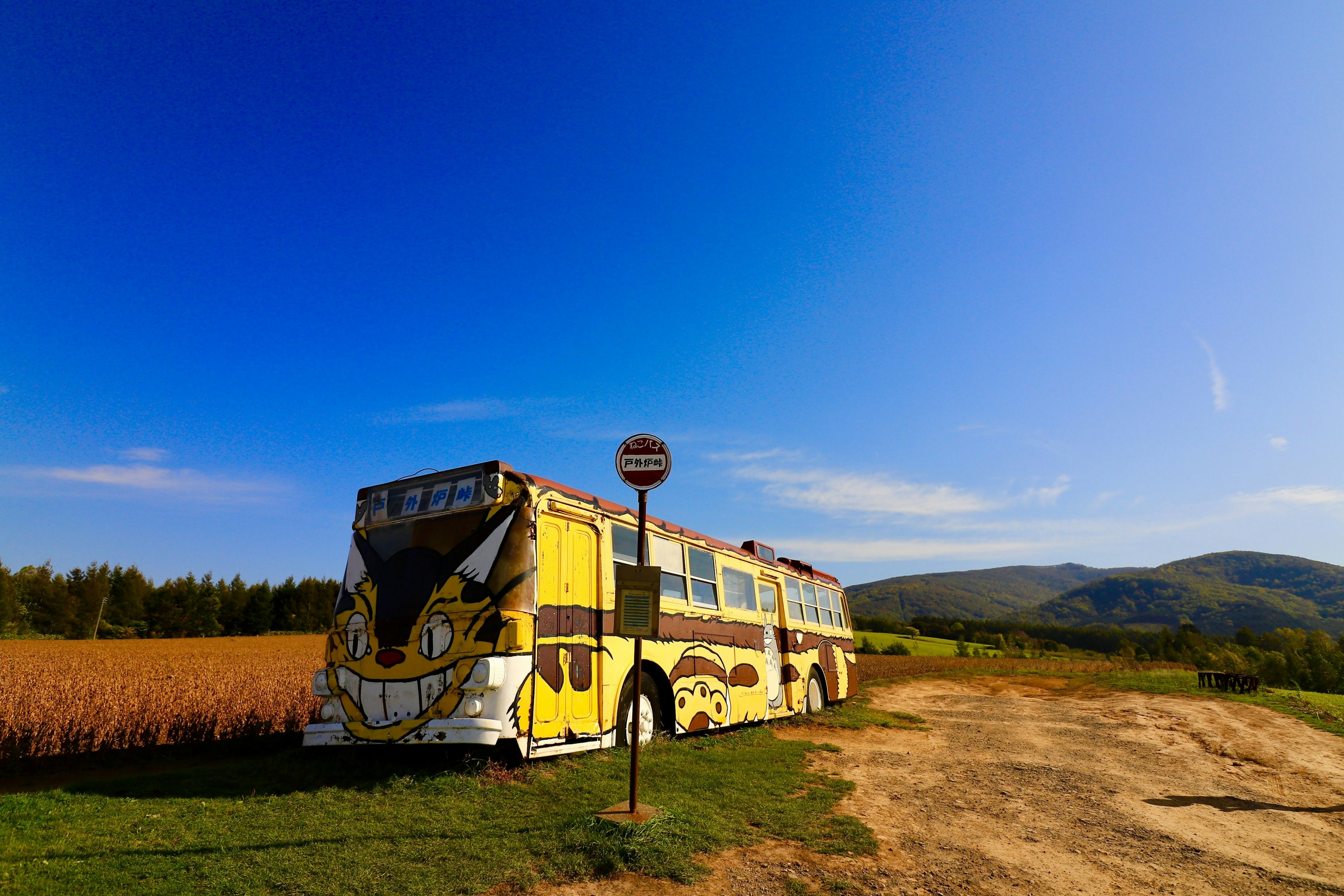 Ein gelber Bus, der in einer ländlichen Landschaft unter einem blauen Himmel geparkt ist