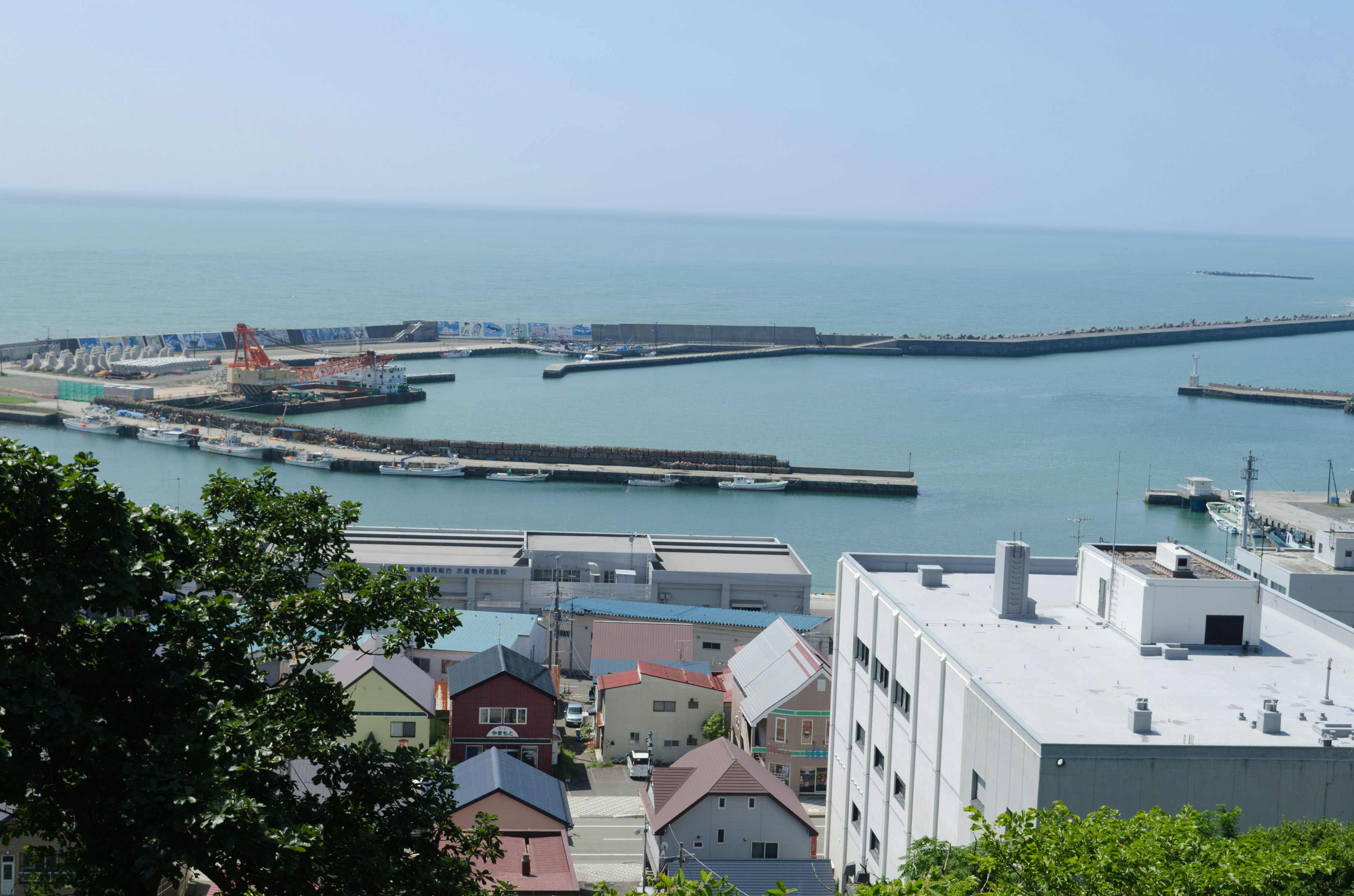 Panoramic view of a coastal port town with colorful buildings