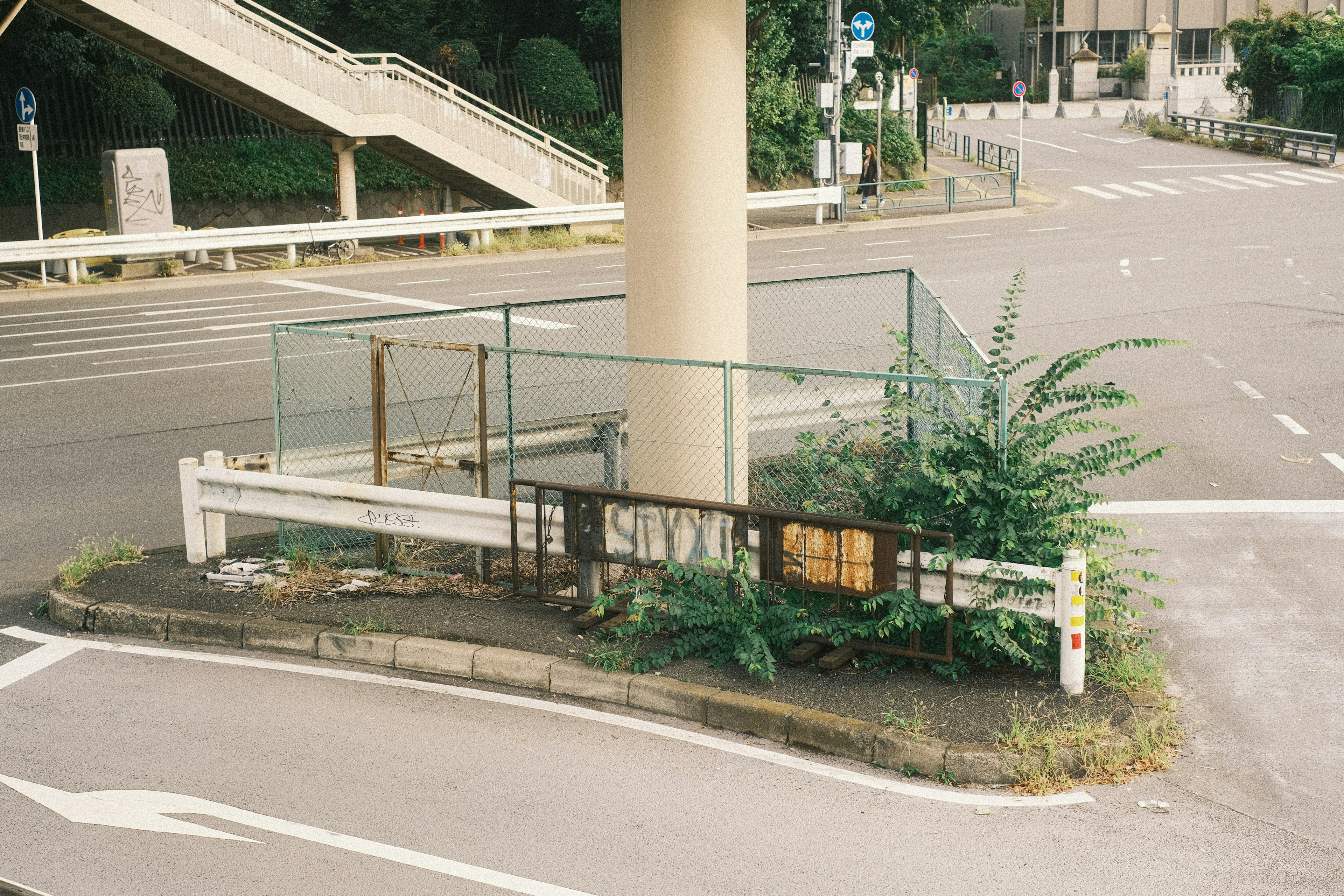 道路沿いの低木とフェンスがある交差点の風景