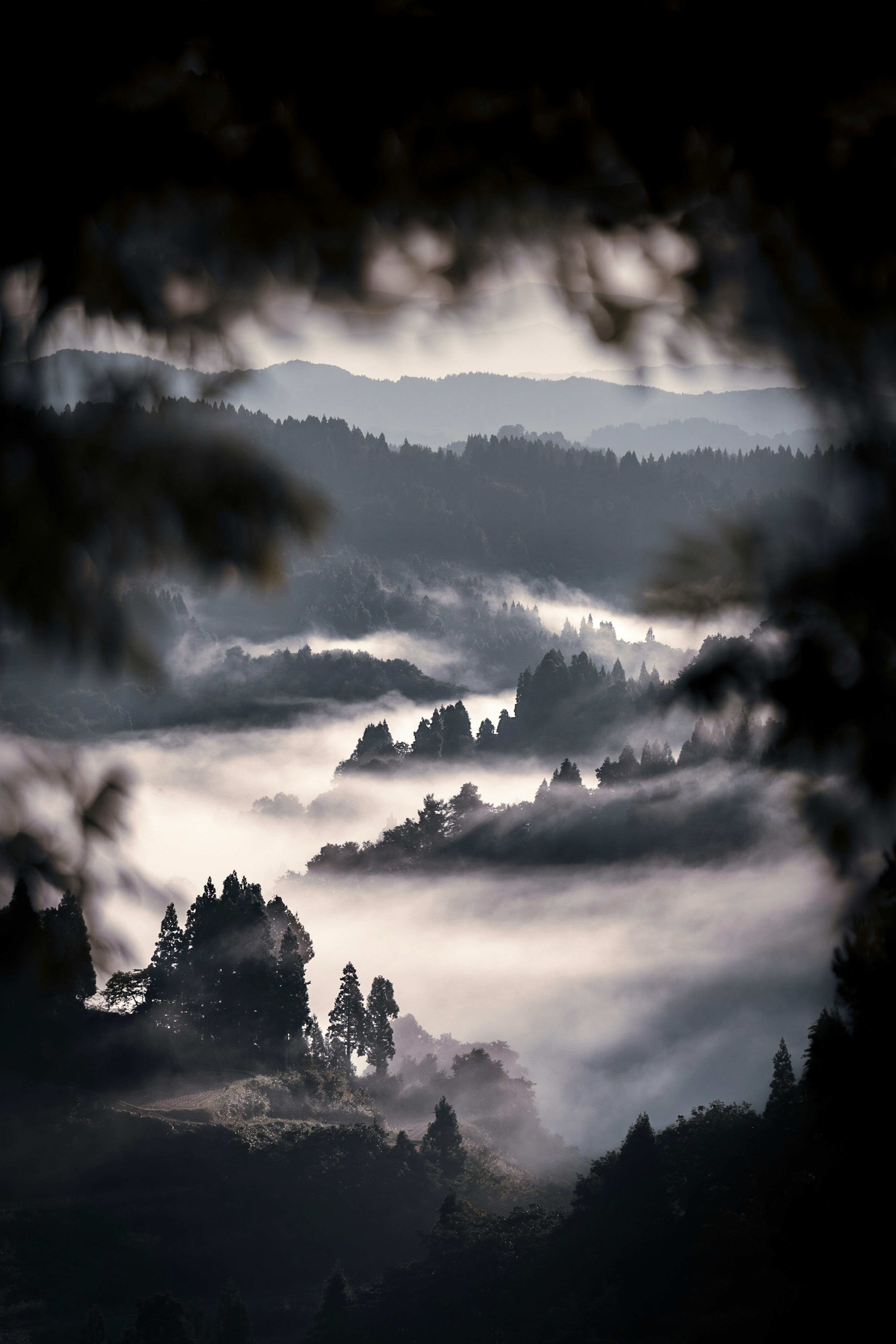 A mystical landscape of mountains shrouded in fog