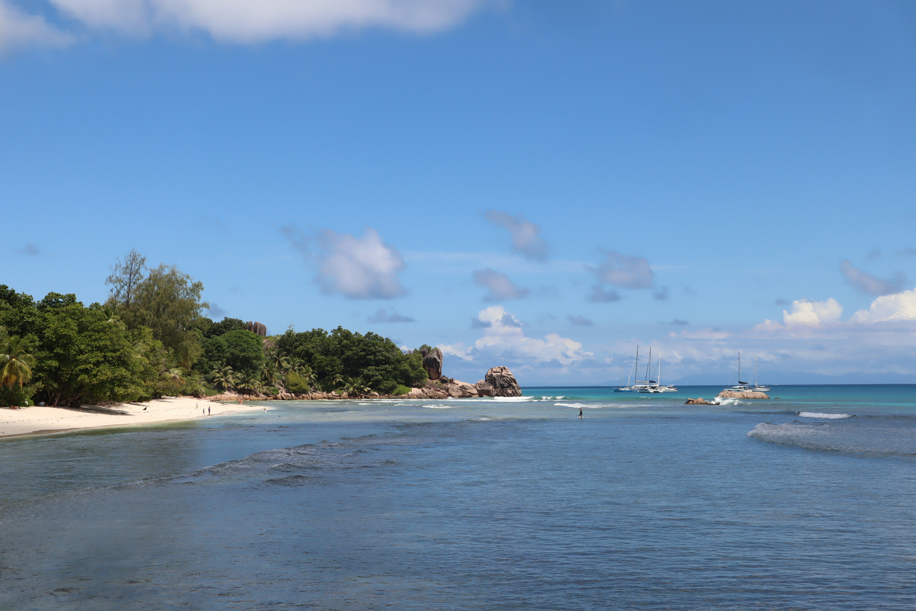 Vista escénica de la playa con cielo azul claro y aguas tranquilas con vegetación exuberante y arena blanca