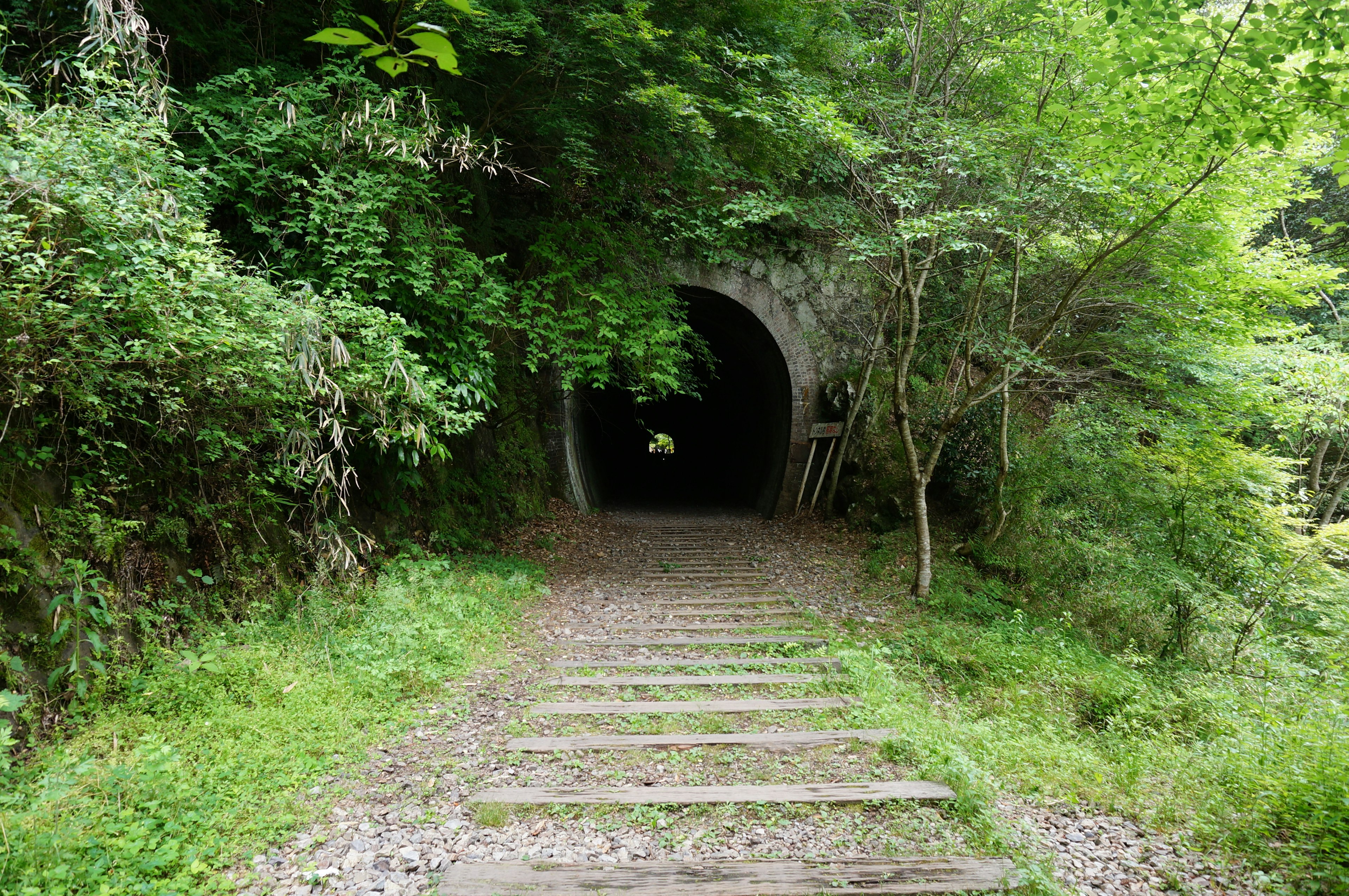 Un chemin menant à un tunnel entouré de verdure luxuriante