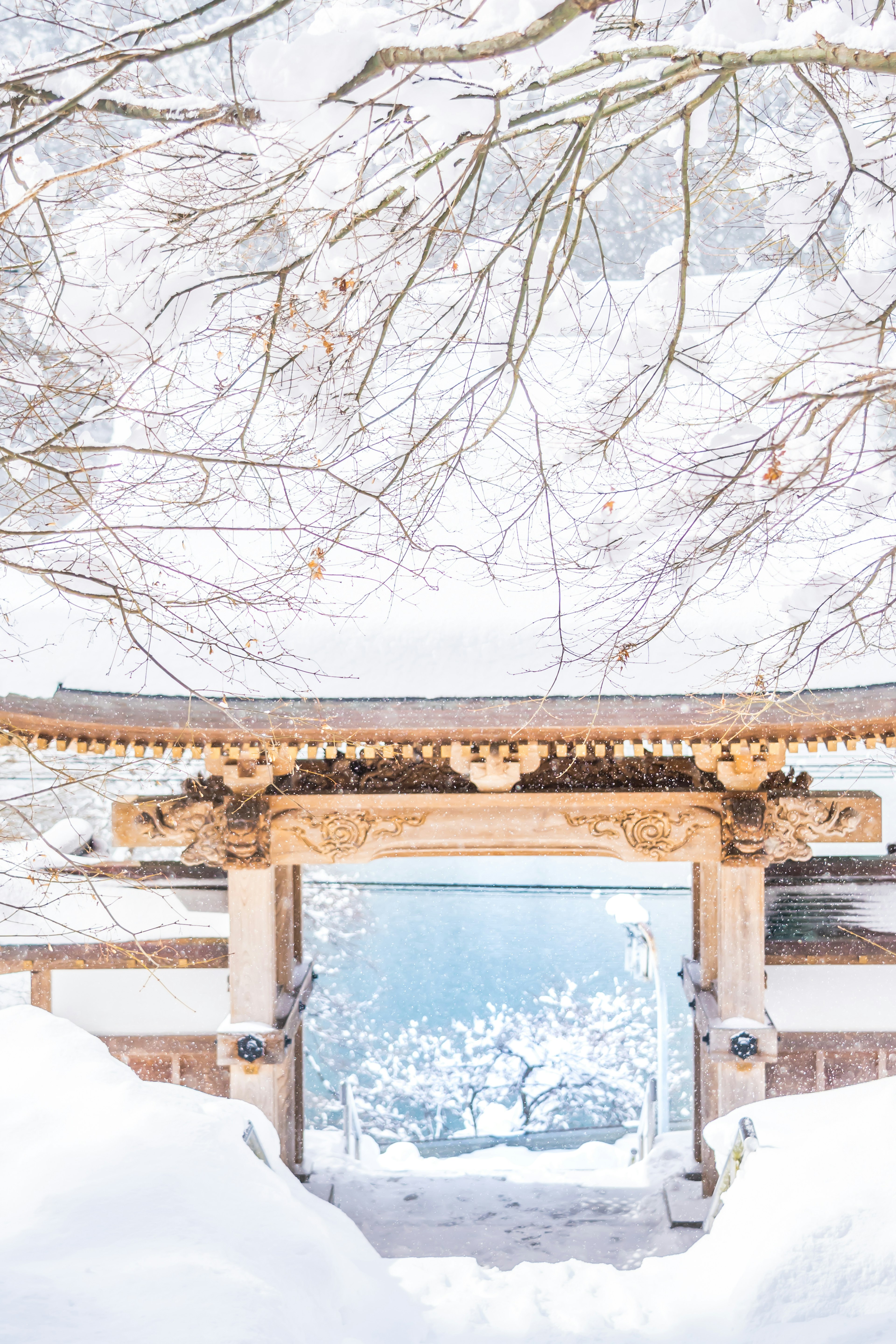 Beautiful snow-covered gate with a scenic view beyond