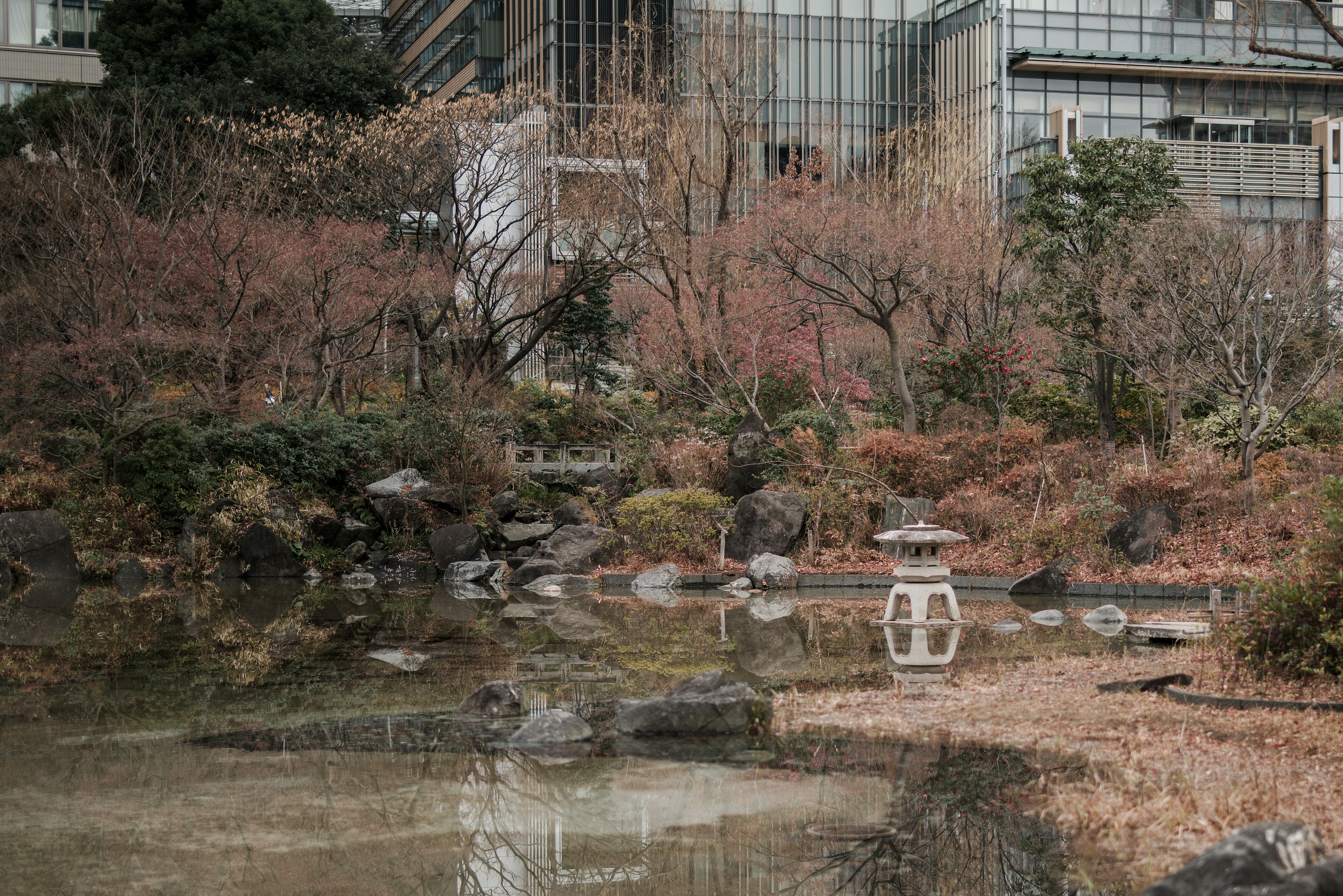 都市の中の静かな日本庭園で池や石が見える