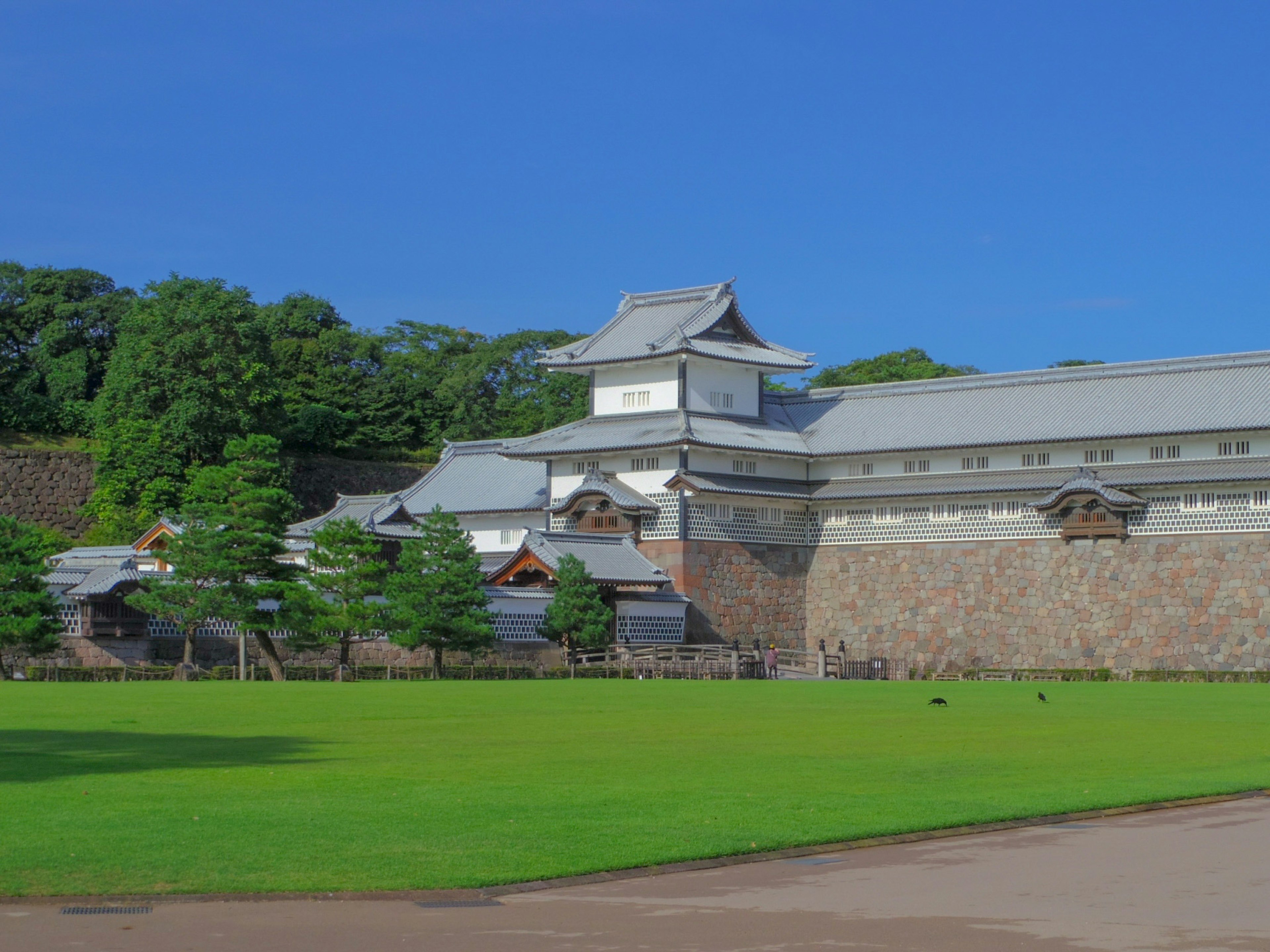 傳統日本城堡在晴朗的藍天下與綠色草坪