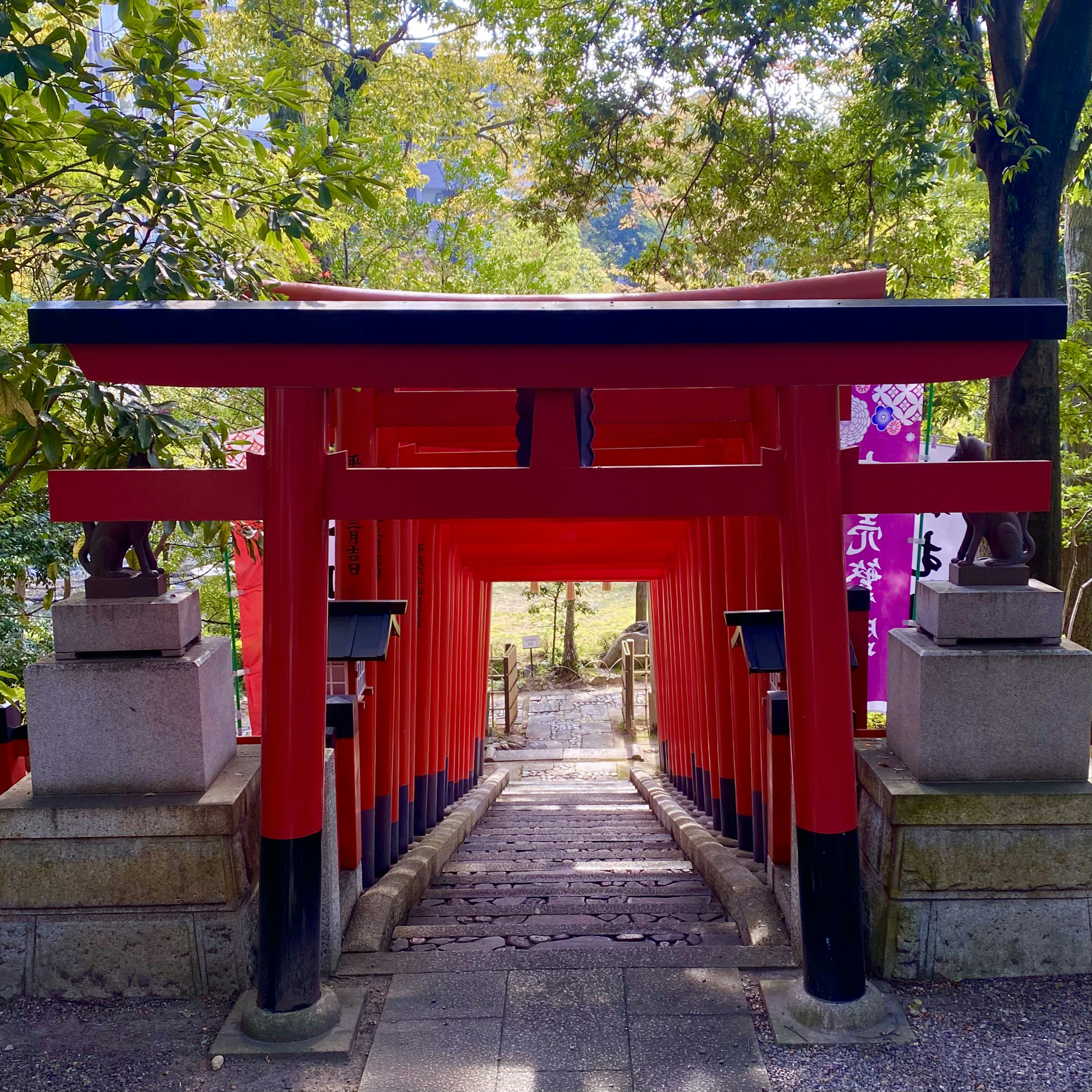 Jalan yang dikelilingi gerbang torii merah dikelilingi oleh pepohonan subur