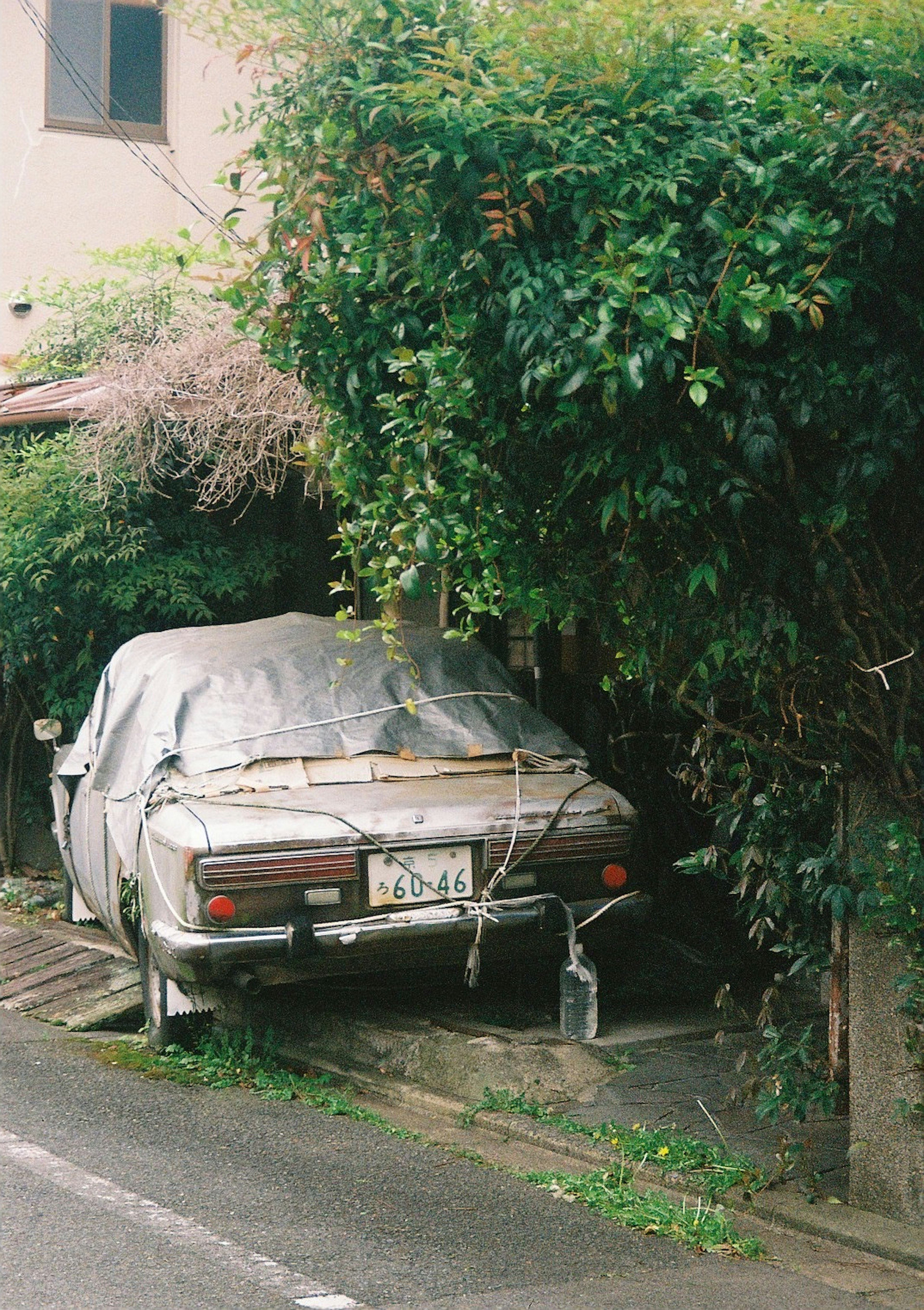 photo-puLxtHj0Ermnrtn5F7jf-image