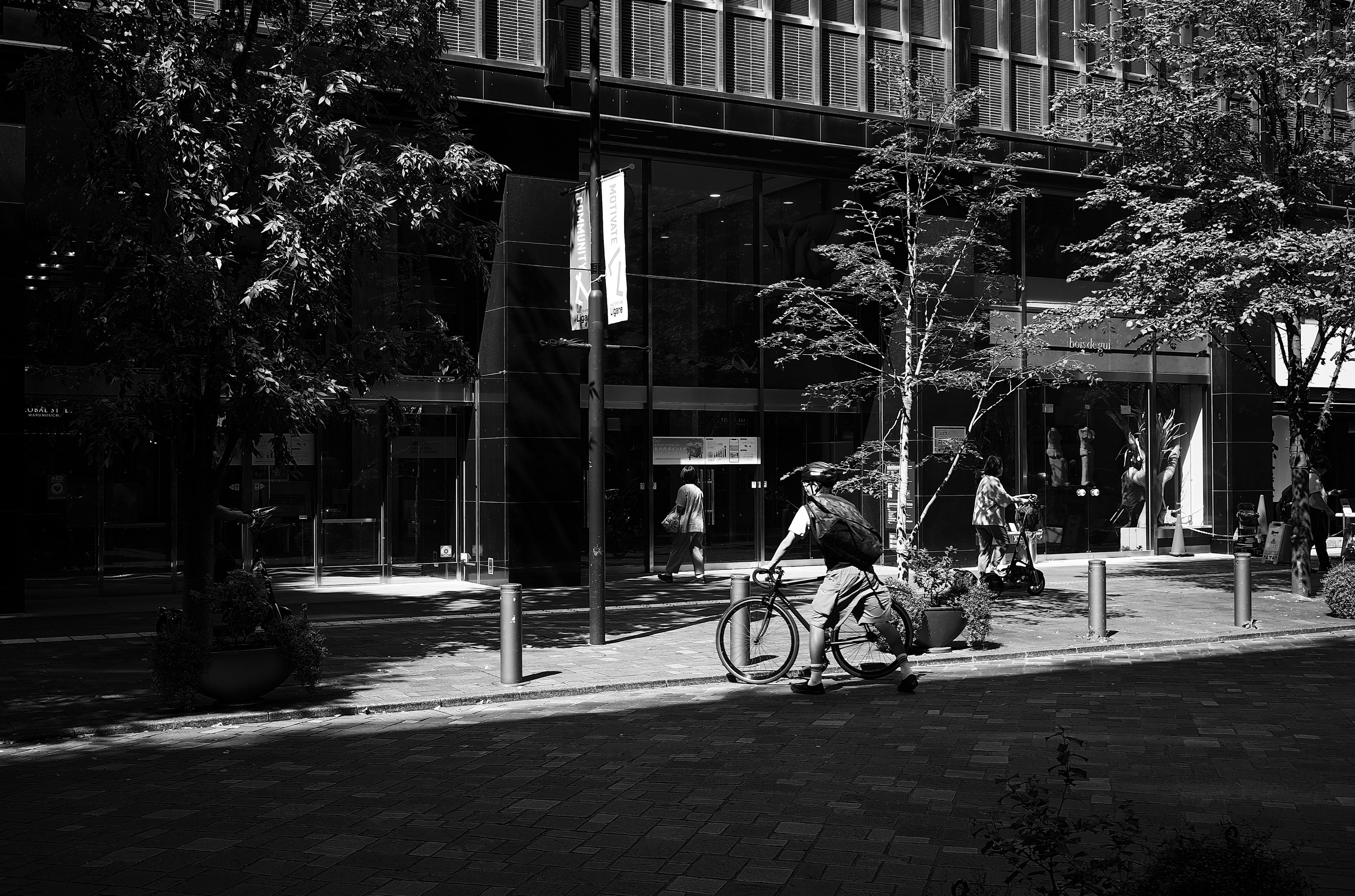 黒白の都市風景に自転車を持つ人と木々が見える