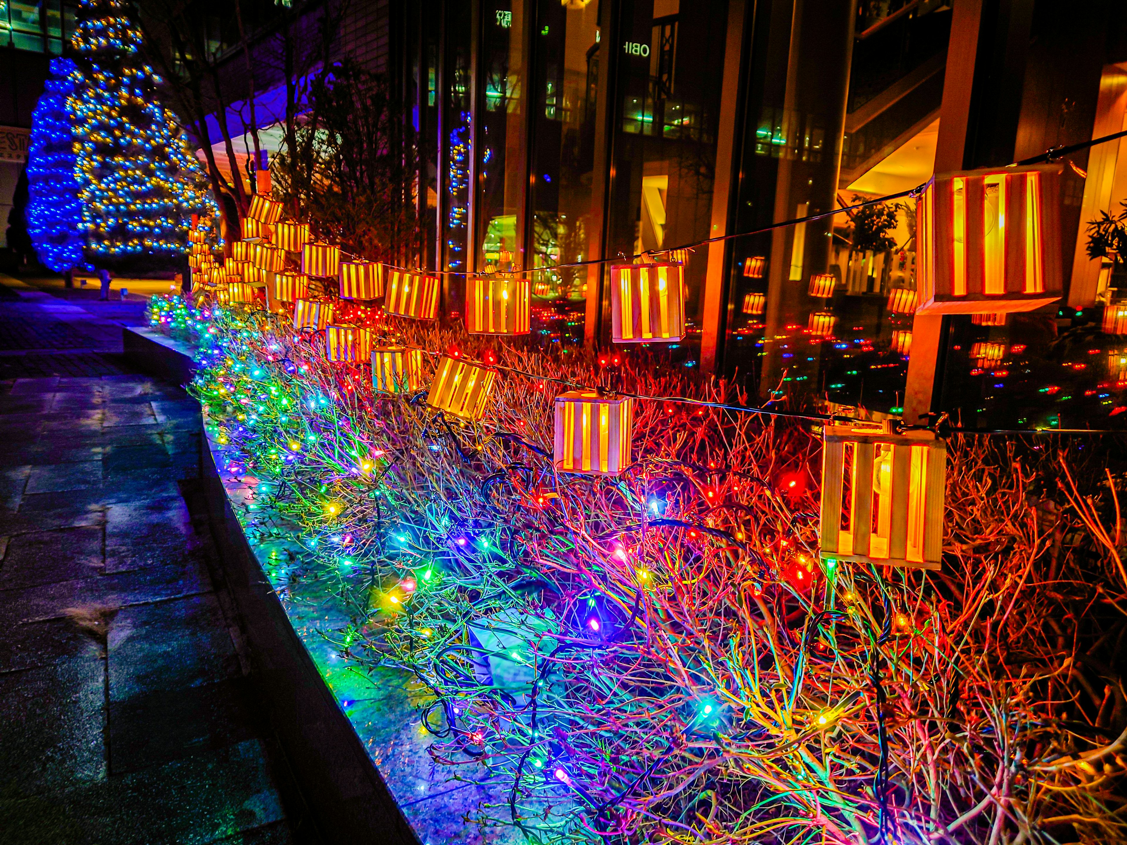 Colorful lights and lanterns decorating a garden scene