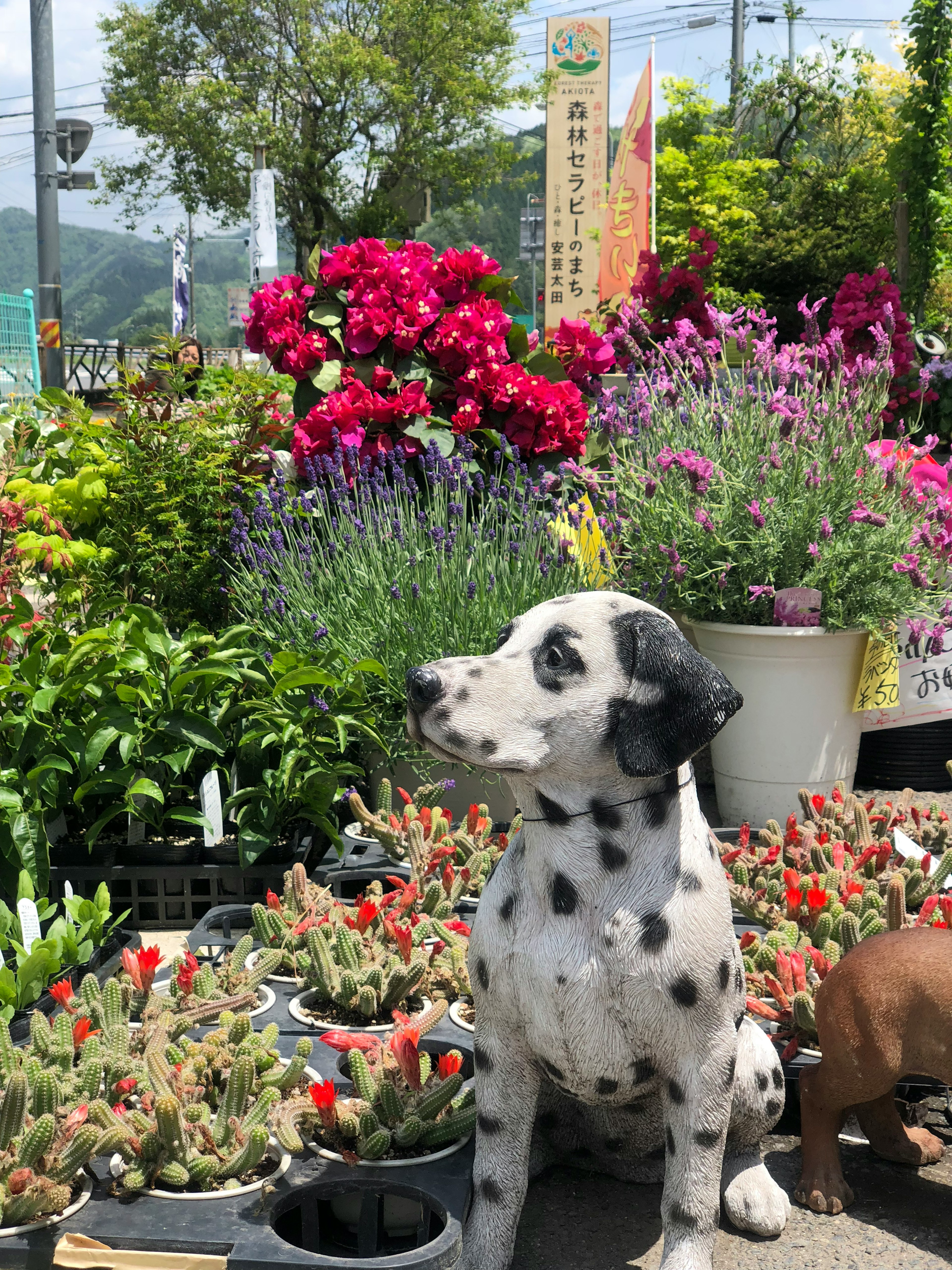 花々の中に座っているダルメシアン犬