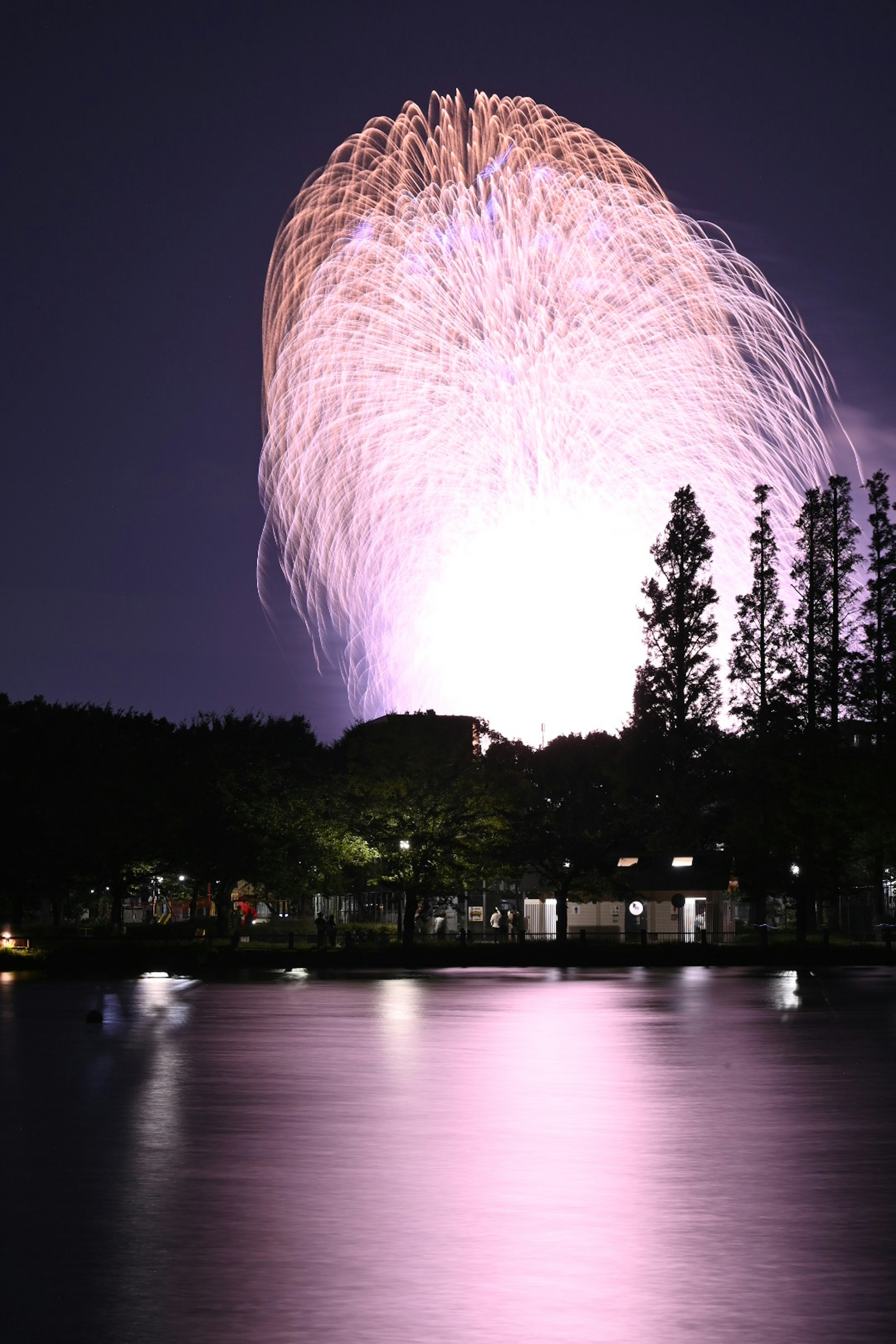 夜空に輝く花火と湖の反射が美しい風景