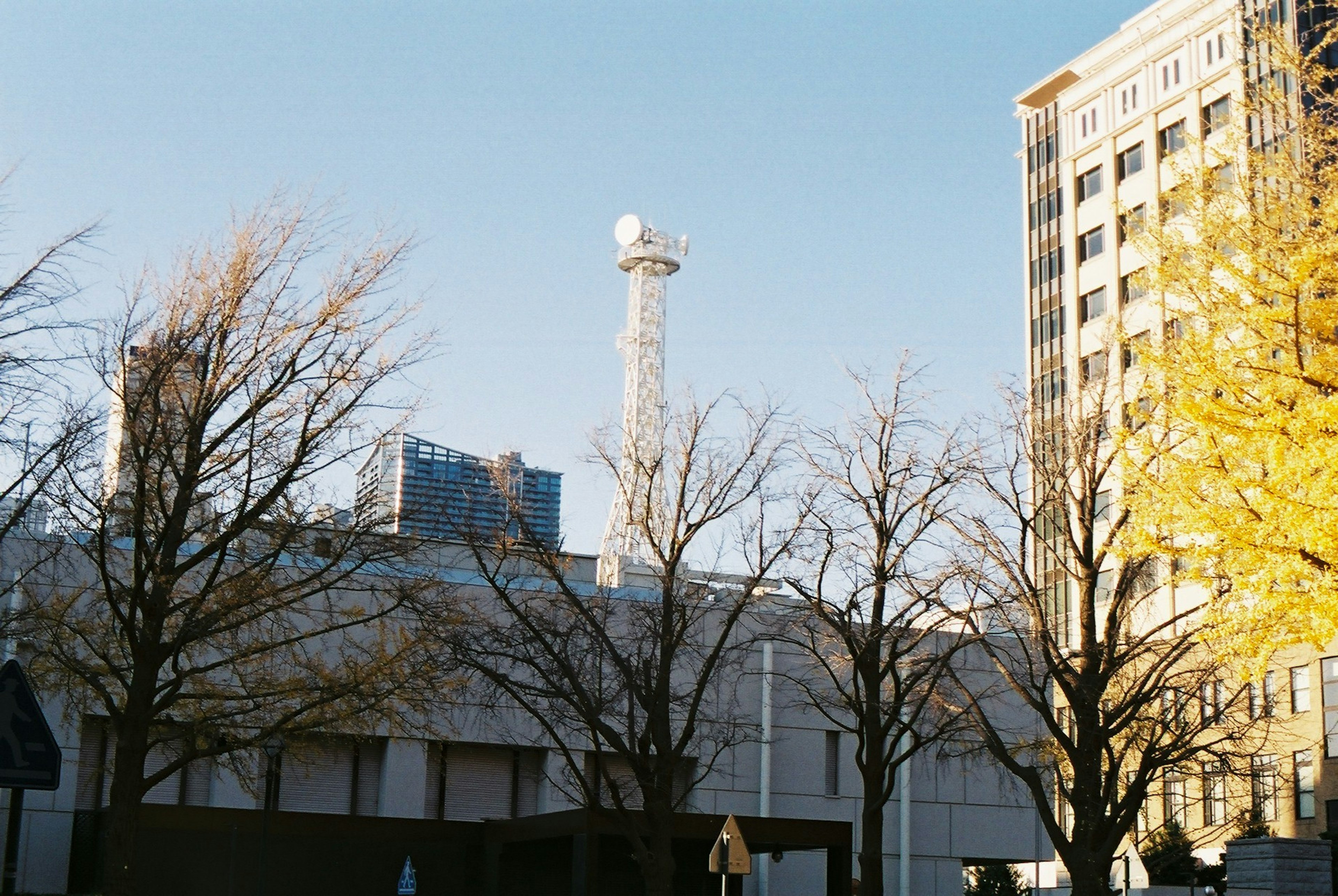 街並みの一部に見えるビルと木々の写真 高層ビルの近くにある通信塔 周囲の木々は秋の色合いを見せている