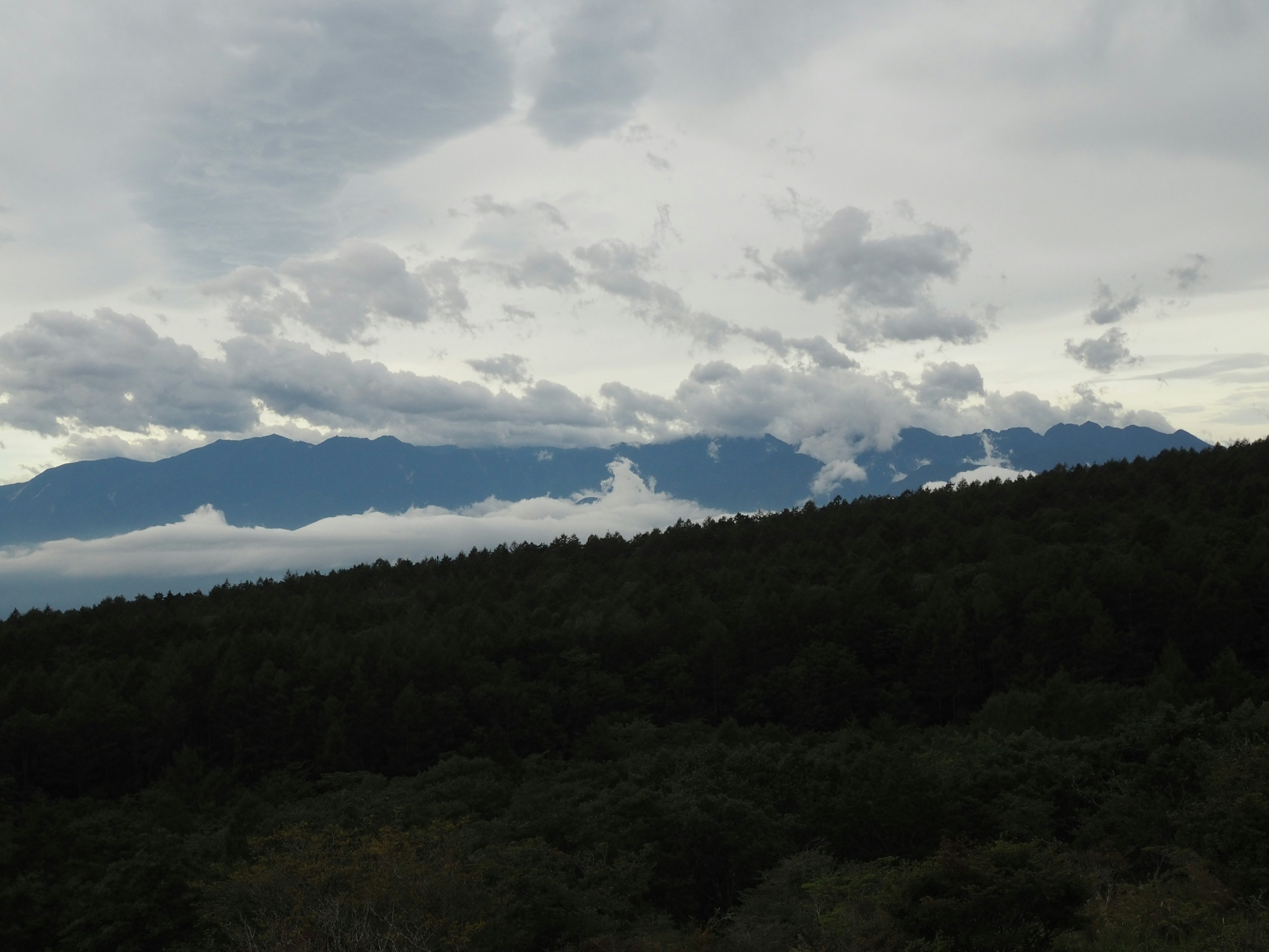 Paisaje montañoso con nubes y bosque verde