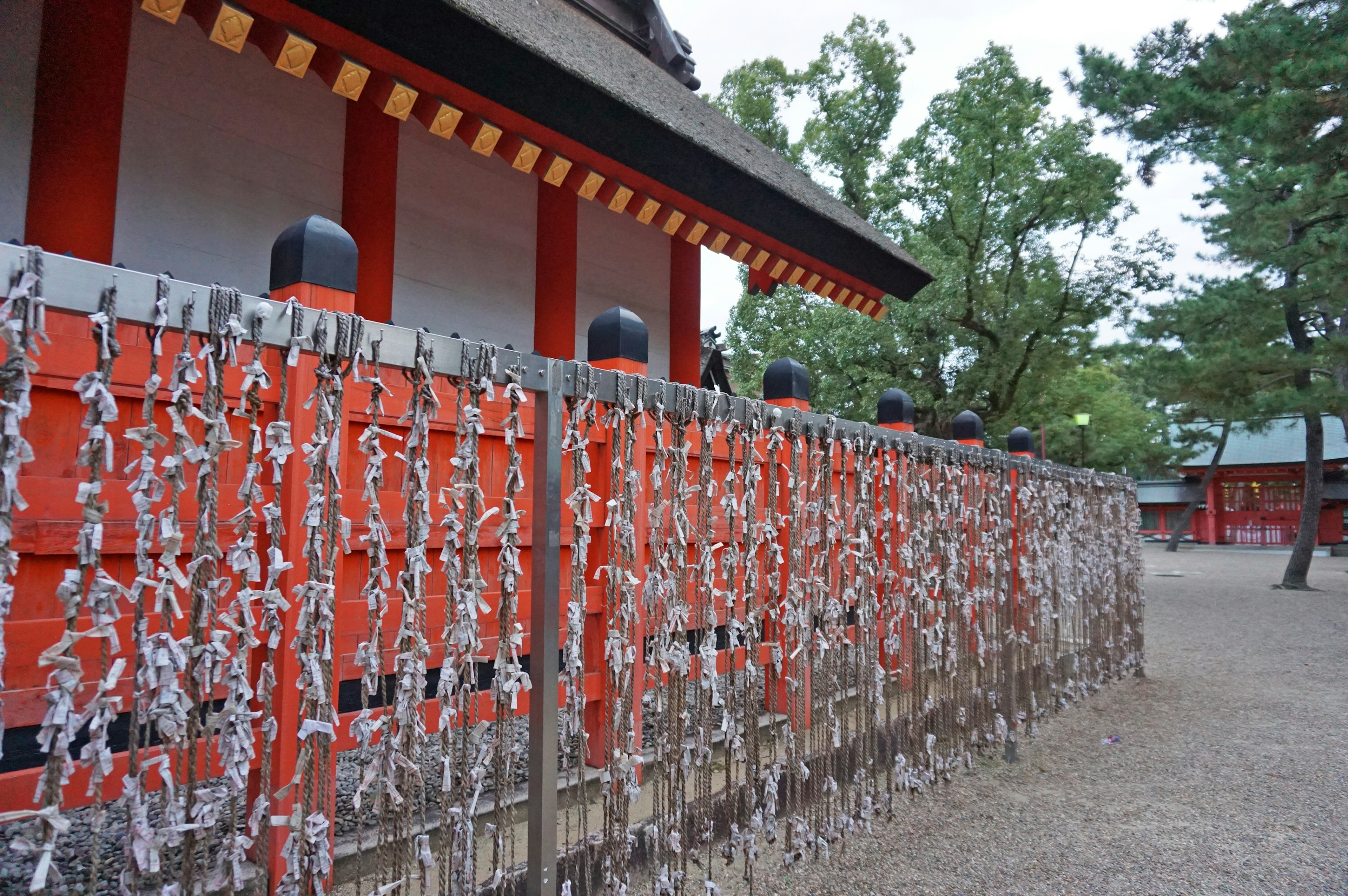 赤い壁とおみくじが飾られた神社の風景