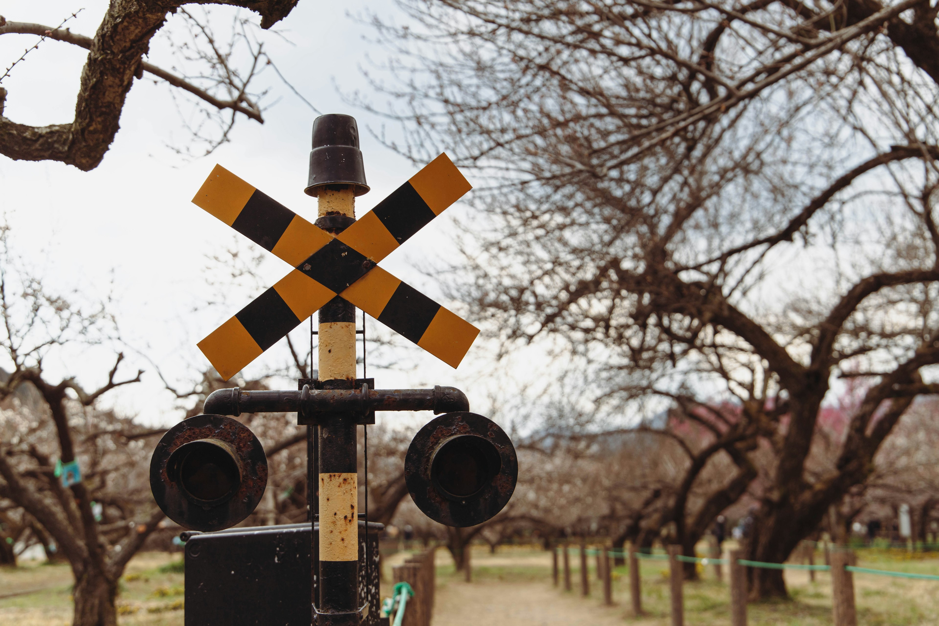 Railroad crossing sign surrounded by trees and pathway