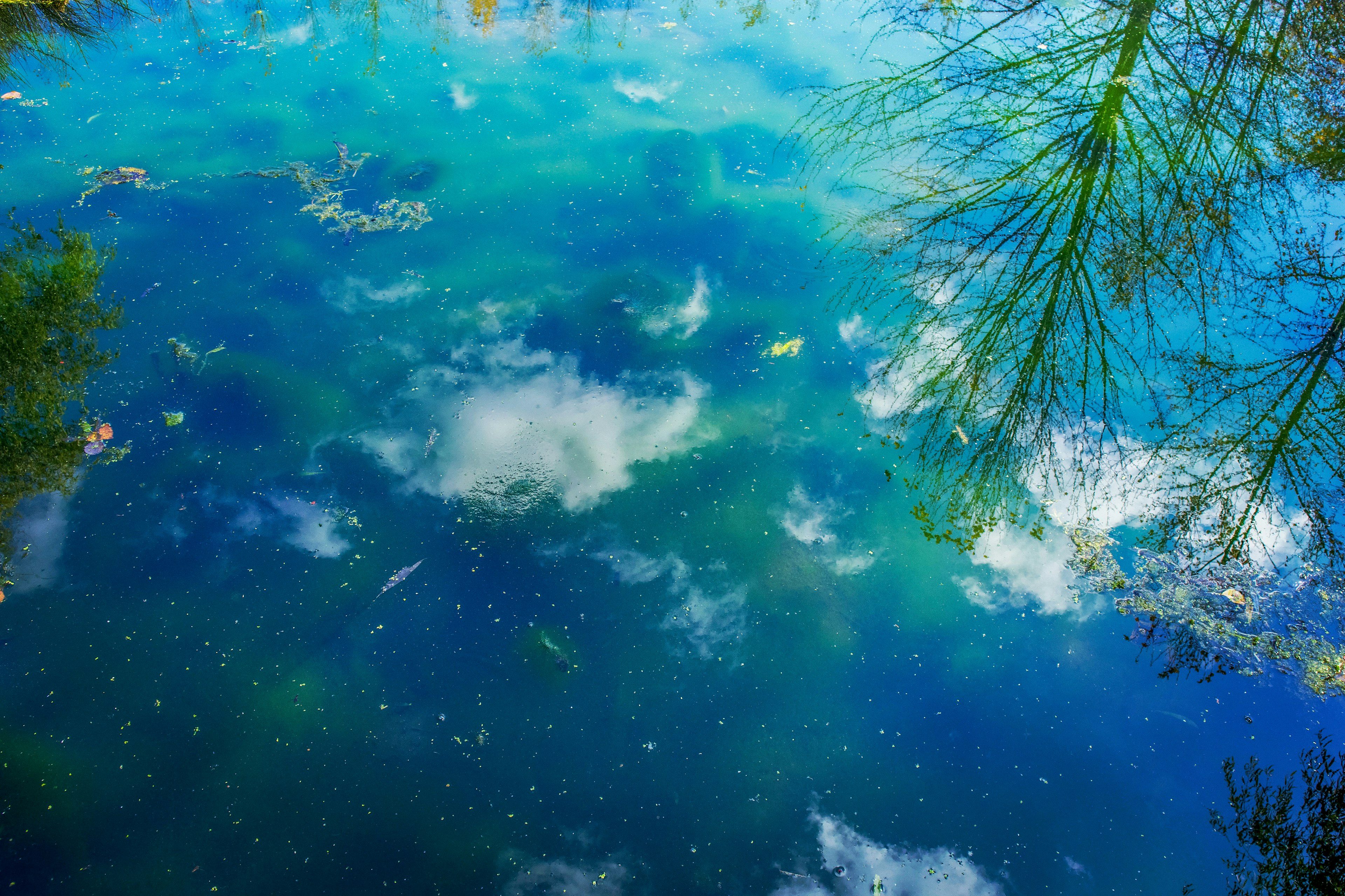 Blue water surface reflecting clouds and tree shadows