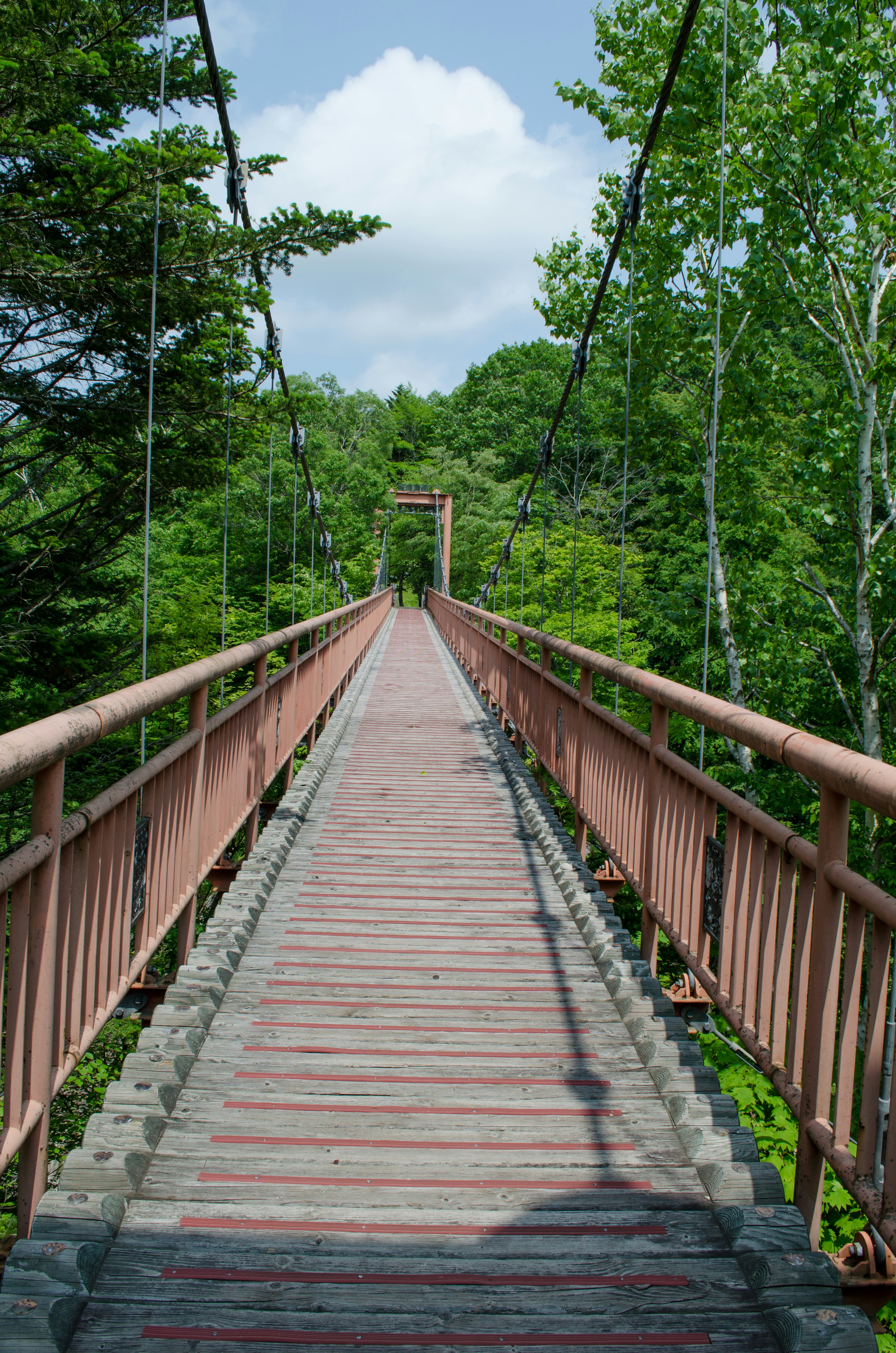 Vista panoramica di un ponte sospeso circondato da vegetazione