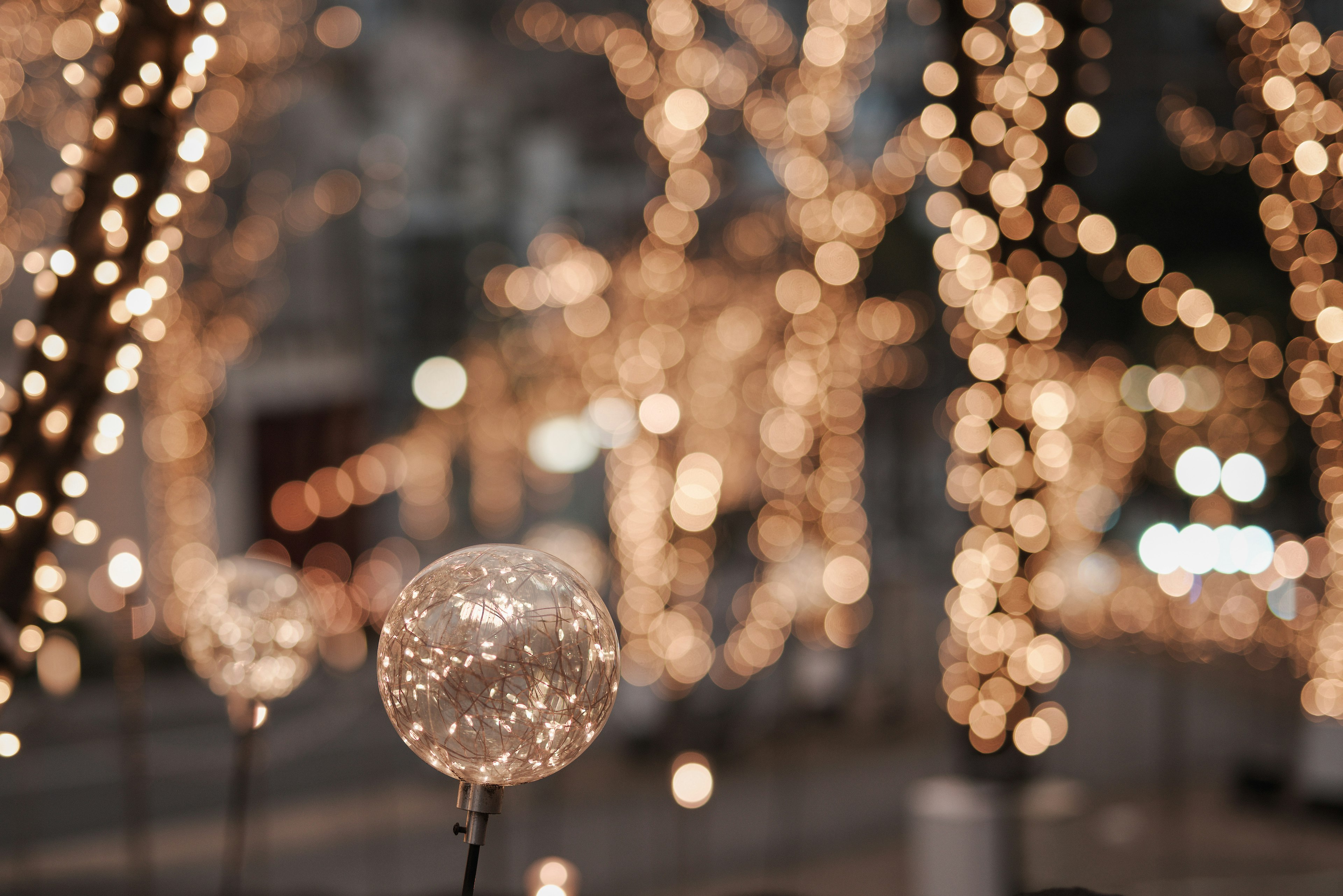 Glowing orbs and illuminated trees with a blurred background