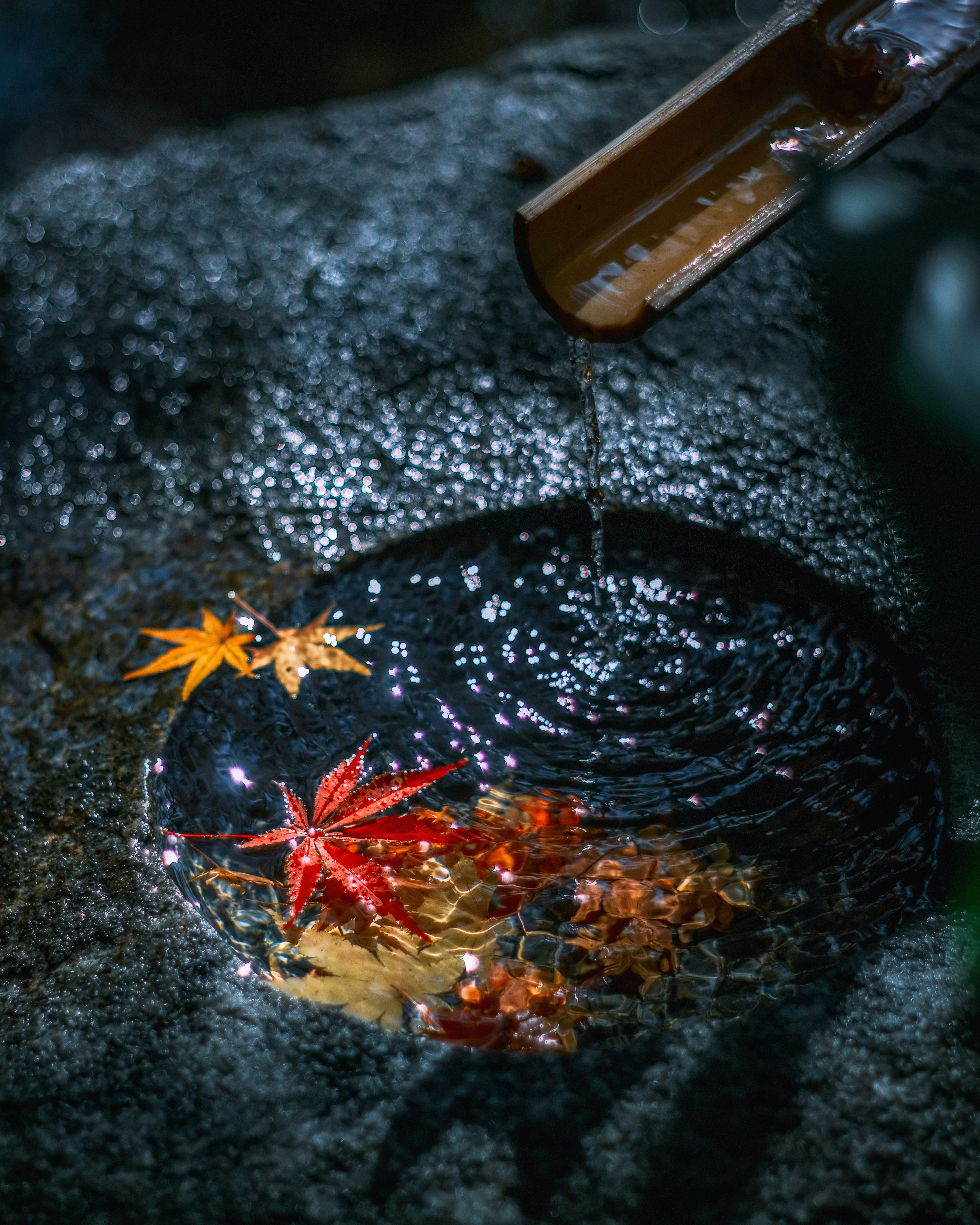 A serene scene with autumn leaves on a rock and water droplets