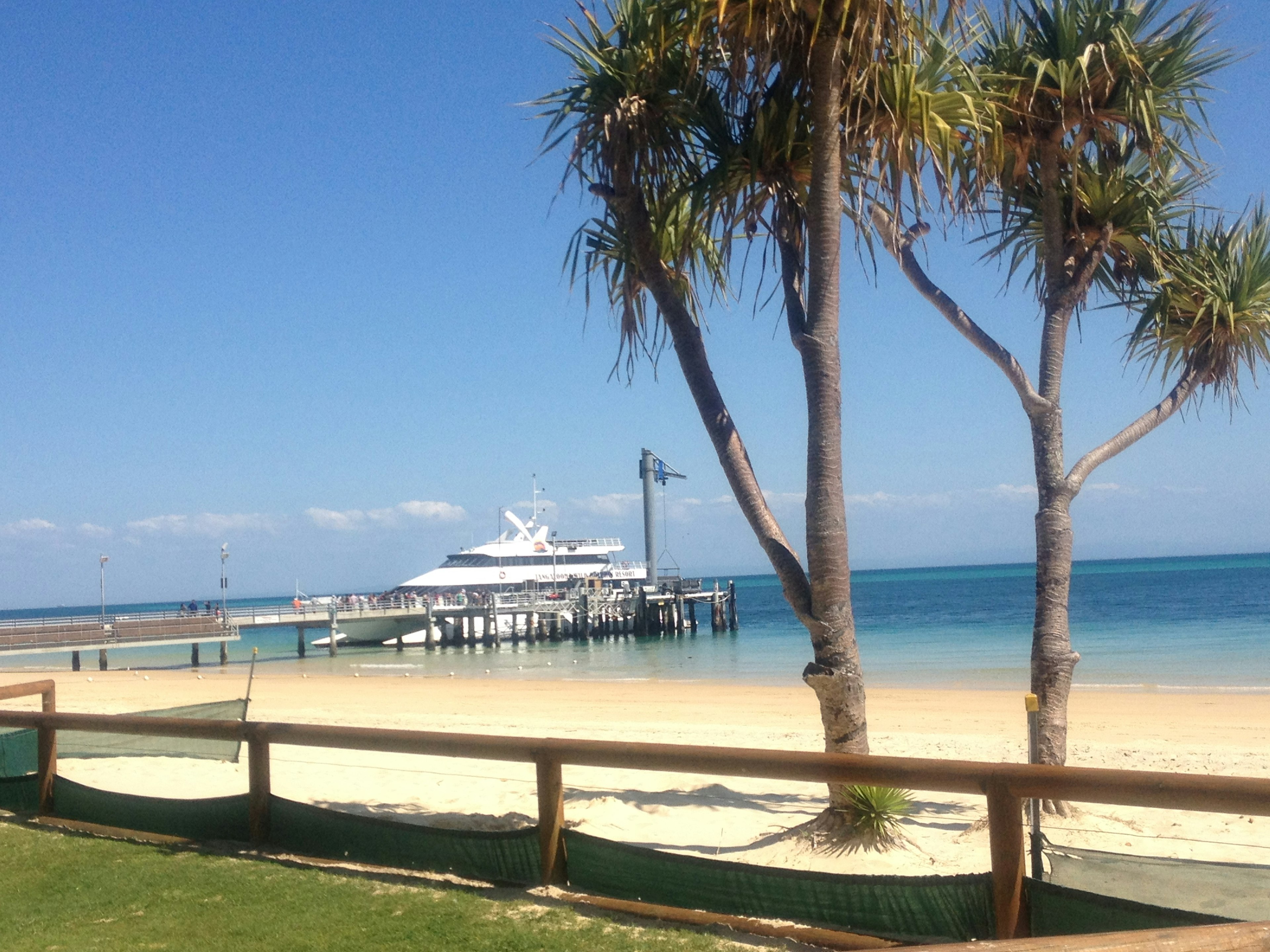 Scenic view of blue ocean and white sandy beach featuring a pier and palm trees