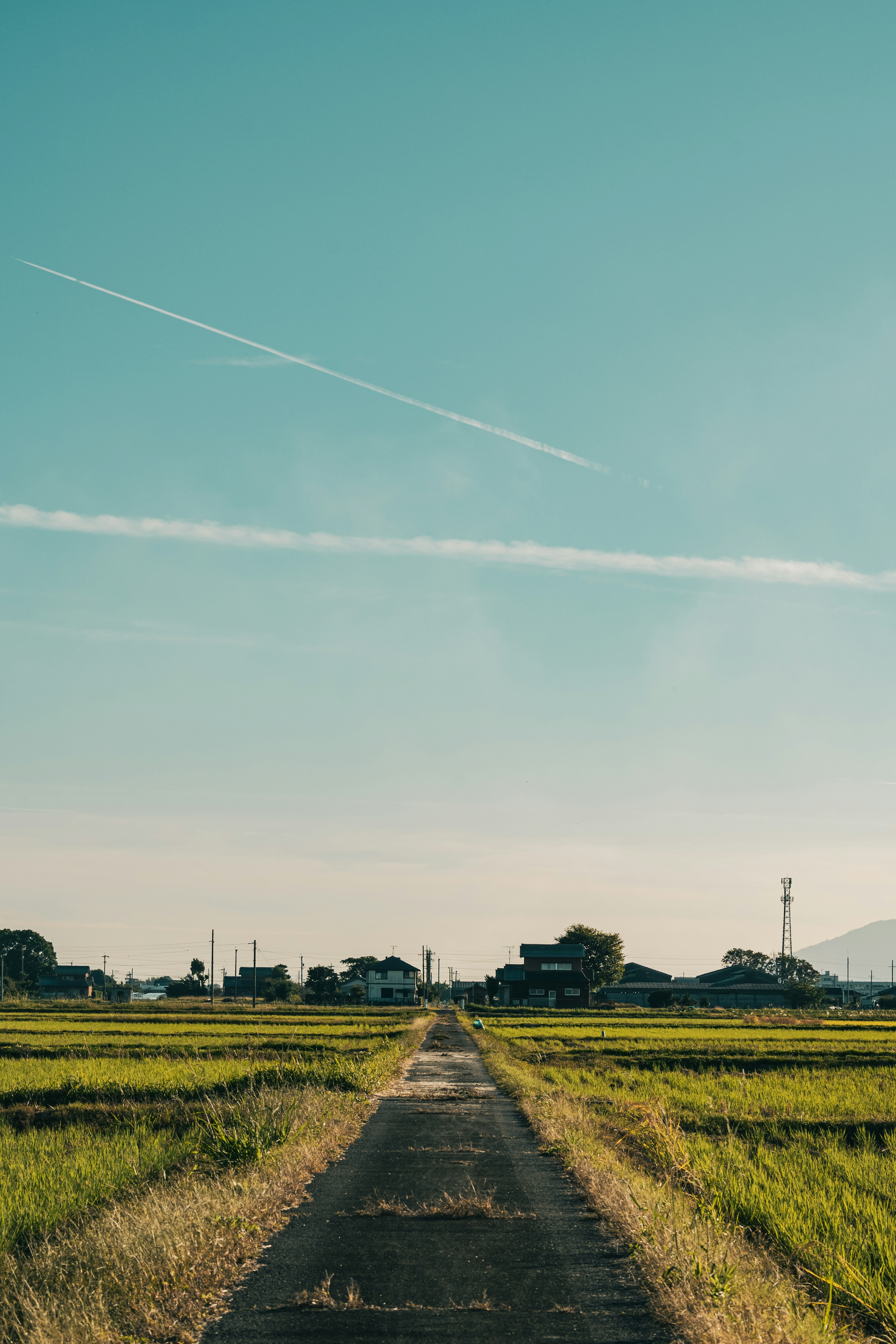 青空の下、田んぼに囲まれた舗装された道が延びている風景