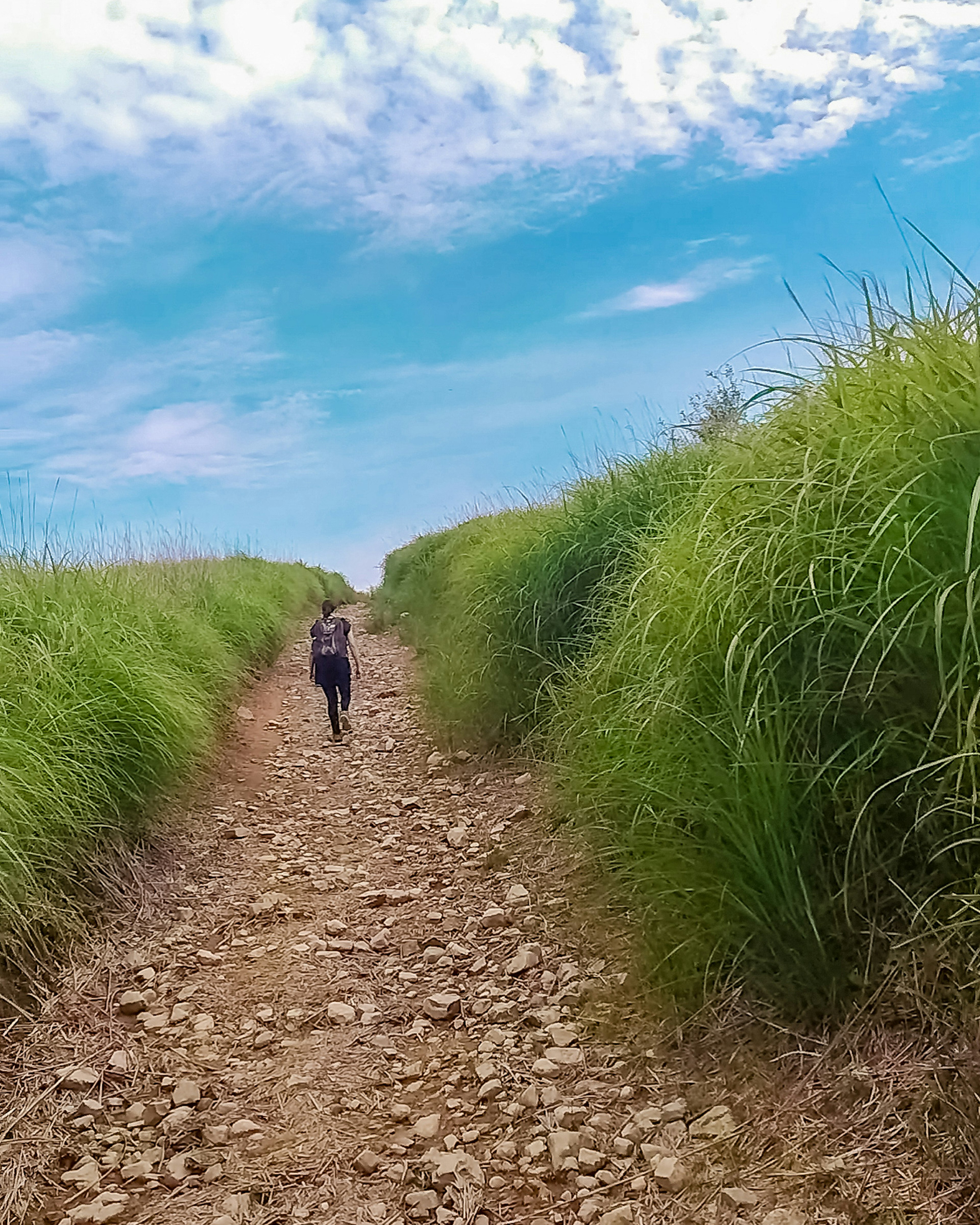 Una persona caminando por un camino rocoso rodeado de hierba alta bajo un cielo azul