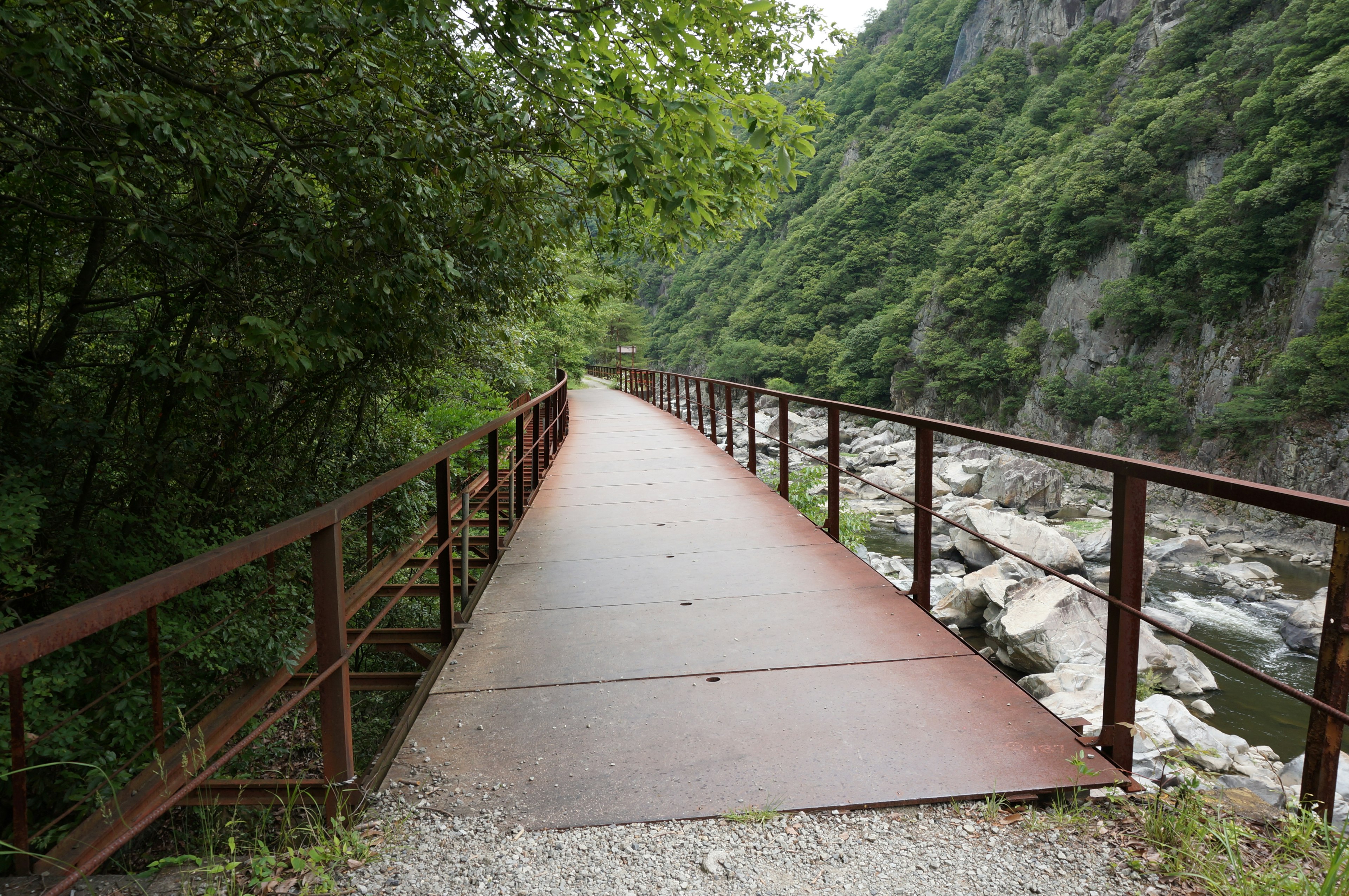 Un vecchio ponte in metallo circondato da vegetazione sopra un fiume